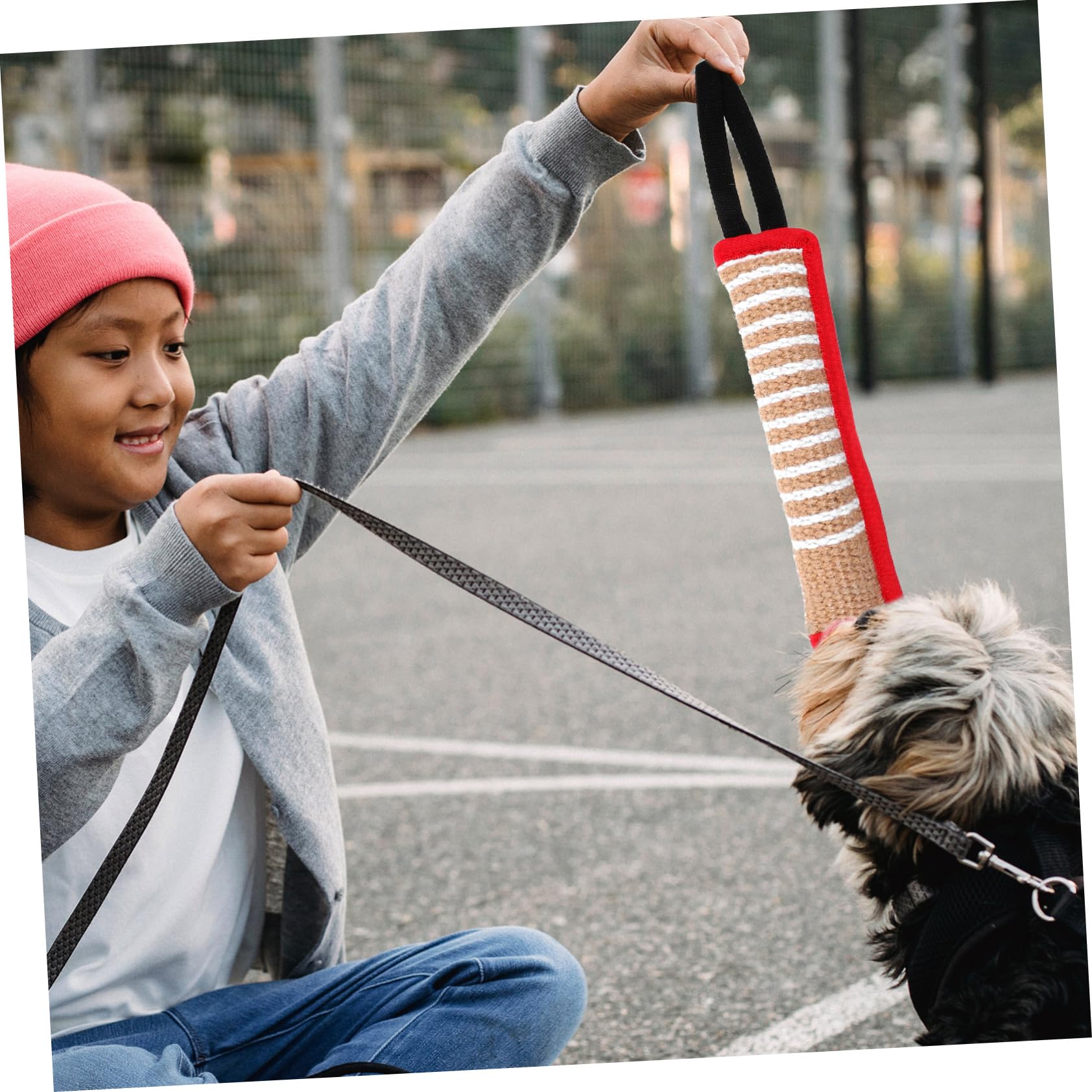 INOOMP 5 Stücke Material Hund Schlepper Spielzeug Interaktive Beißen Kissen Für Hunde Molaren Kissen Spielzeug Hundespielzeug