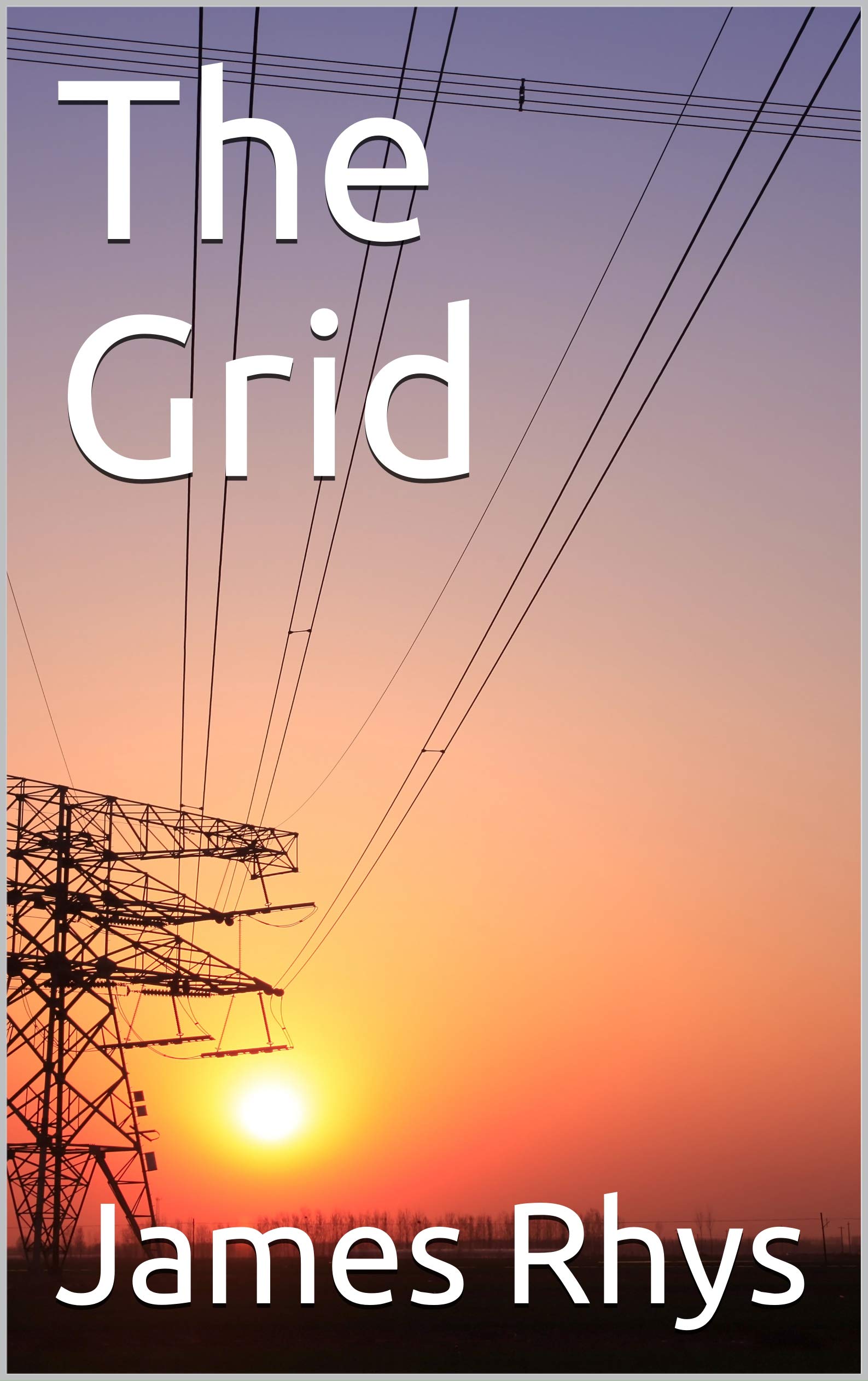 The Grid: Potomac Book Club Series Book: 6