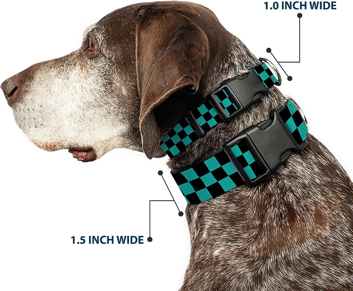 Buckle-Down Plastic Clip Collar - Checker Black/Teal - 1.5" Wide - Fits 18-32" Neck - Large