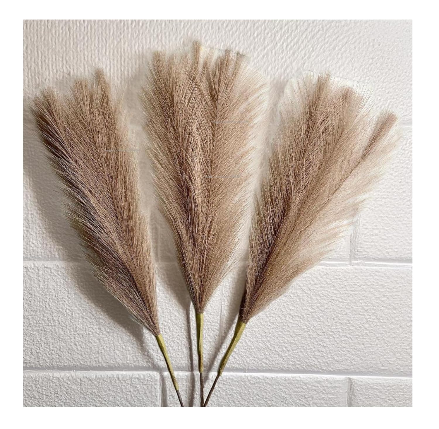 Natural Dried Pampas Grass Stems, Decorative Reed Plumes, 41cm, Fluffy, Set of 3, for Wedding Arches, Home, Office, Diwali Decor (Light Brown)-image-2