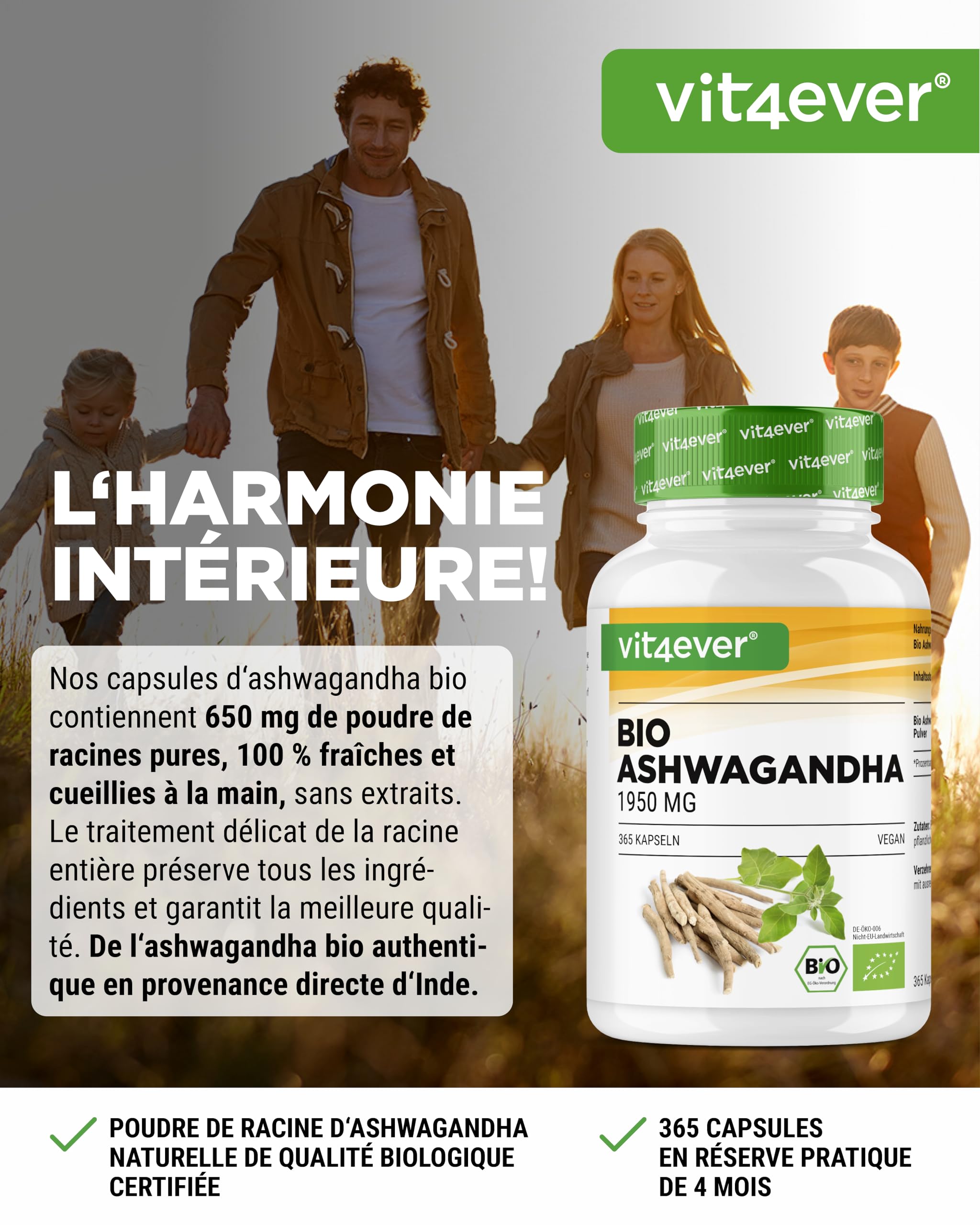 vit4ever Original Bio Ashwagandha - 365 gélules - Hautement dosé avec 1950mg par portion journalière - Véritable baie du sommeil indienne - Testé en laboratoire - Vegan
