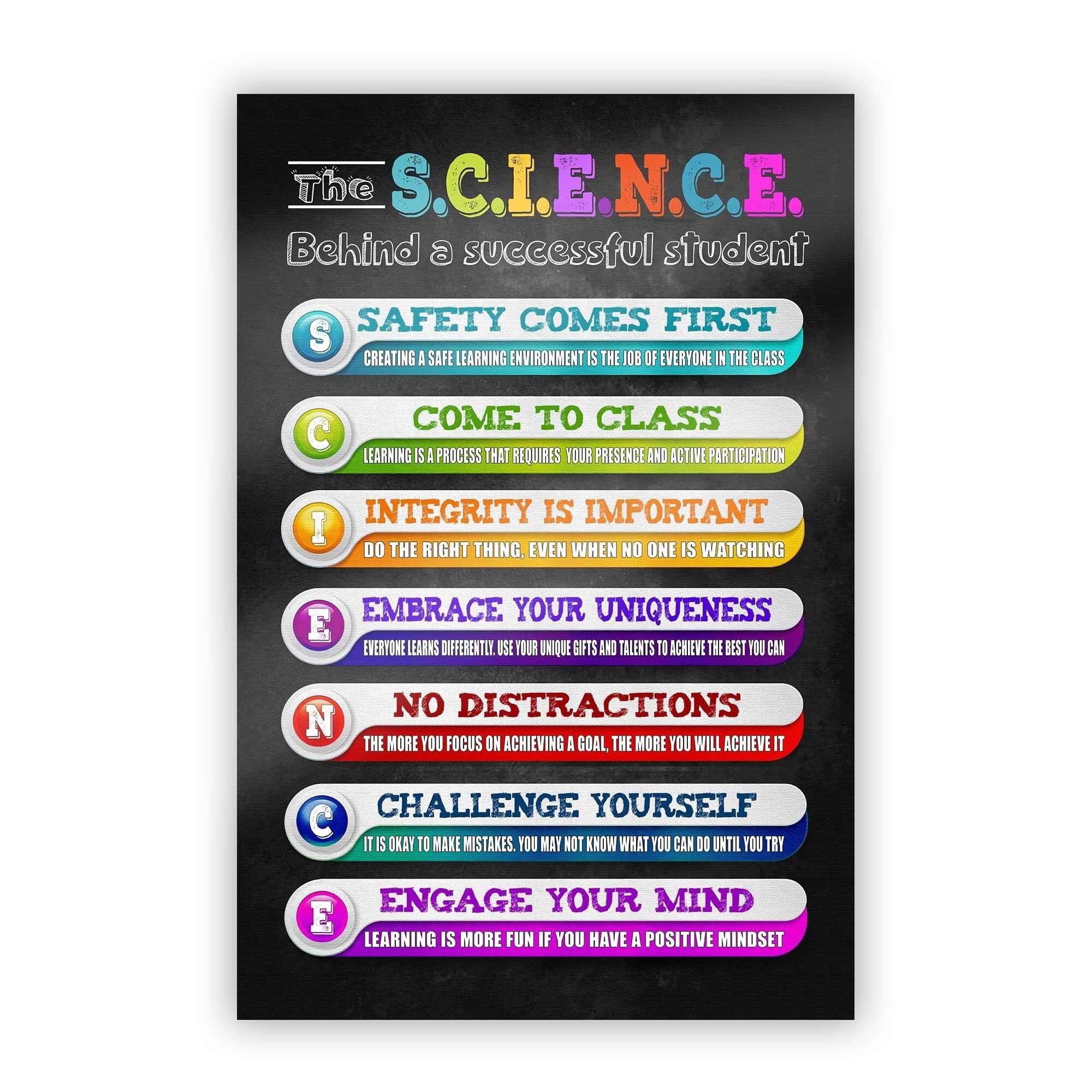 PKNVKZIDK Science of Success Poster Study Skills and Growth Mindset Motivational Chart for Classroom Decor Middle and High School Unframed,16x24inch(40x60cm)