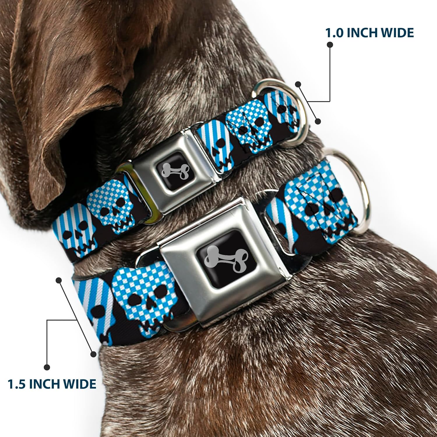 Buckle-Down Seatbelt Buckle Dog Collar - Checker & Stripe Skulls Black/White/Baby Blue - 1" Wide - Fits 15-26" Neck - Large