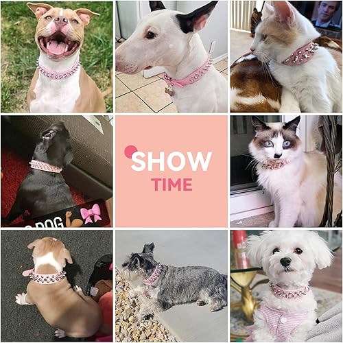 Miniatura 3 de PETCARE Collar de perro con pinchos, de piel sintética suave, color rosa, con diseño de hongos, remaches, tachuelas, collar ajustable para perros