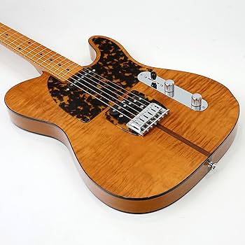 H.Sアンダーソン　MAD CAT H.S. Anderson HS-1 Mad Cat Guitar - Vintage Reissue Model v2