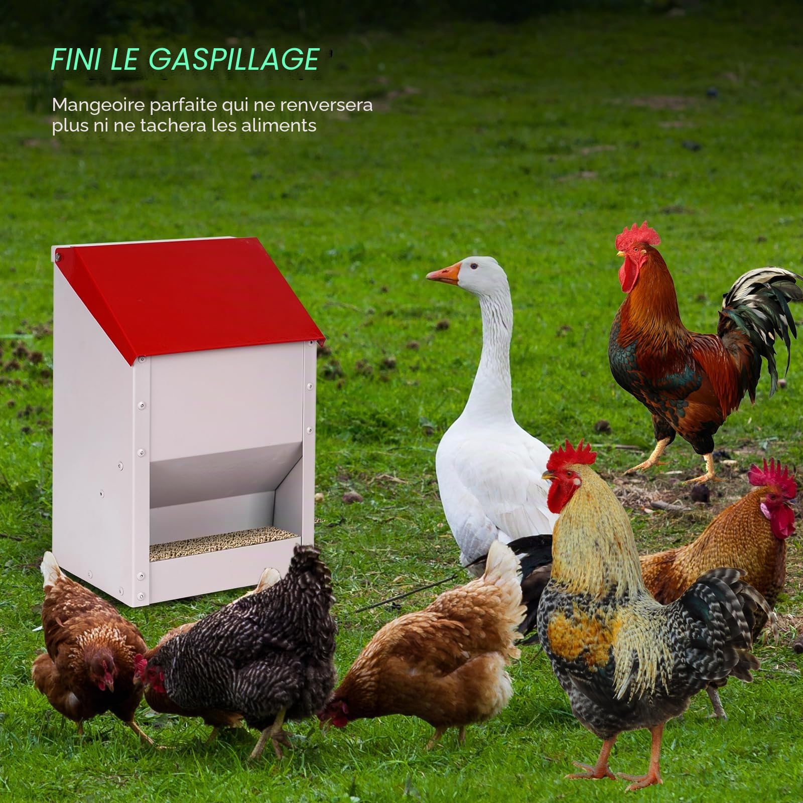 Distributeur de Nourriture Automatique pour Volaille 4,5 kg – Galvanisé avec Couvercle Suspendu, Mural pour Poulet Canard Extérieur