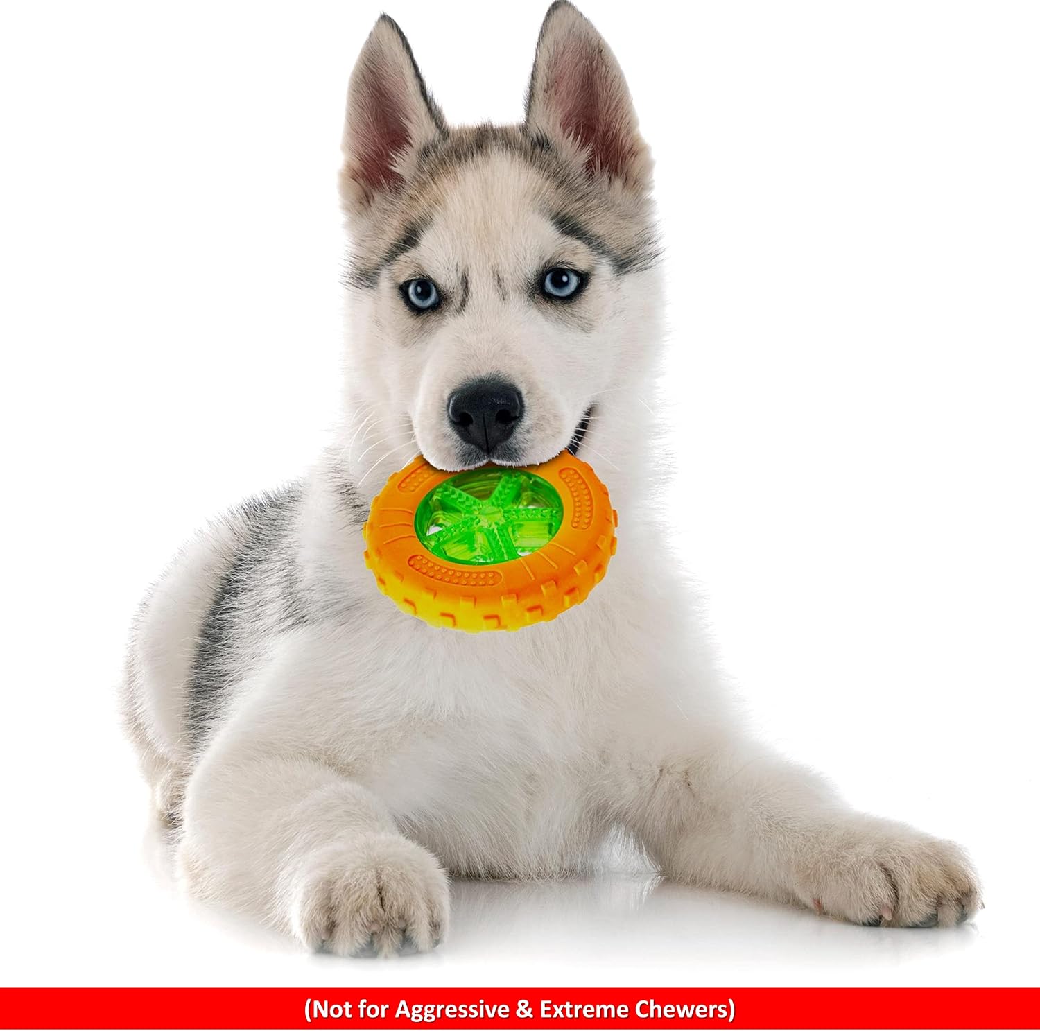 Petopedia 5 inches, Rubber Dog Chew Toys TIRE, Bright TYRE WHEEL, TPR Dogs Toy with Treat Dispensing, Fetch Play, Interactive - Image 5