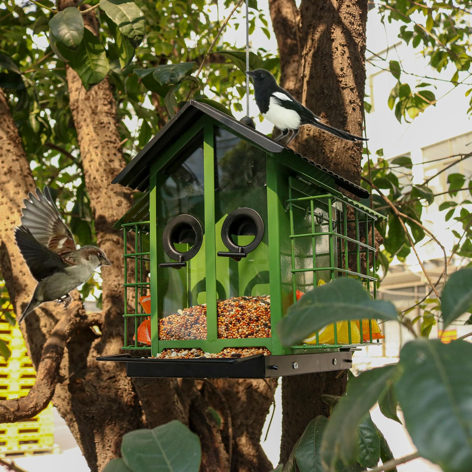 Comederos para pájaros estables y Resistentes a la Intemperie, duraderos, comederos para pájaros Colgantes de Metal, Suministro para observación de Aves en Patio Trasero, Colgante para Exteriores
