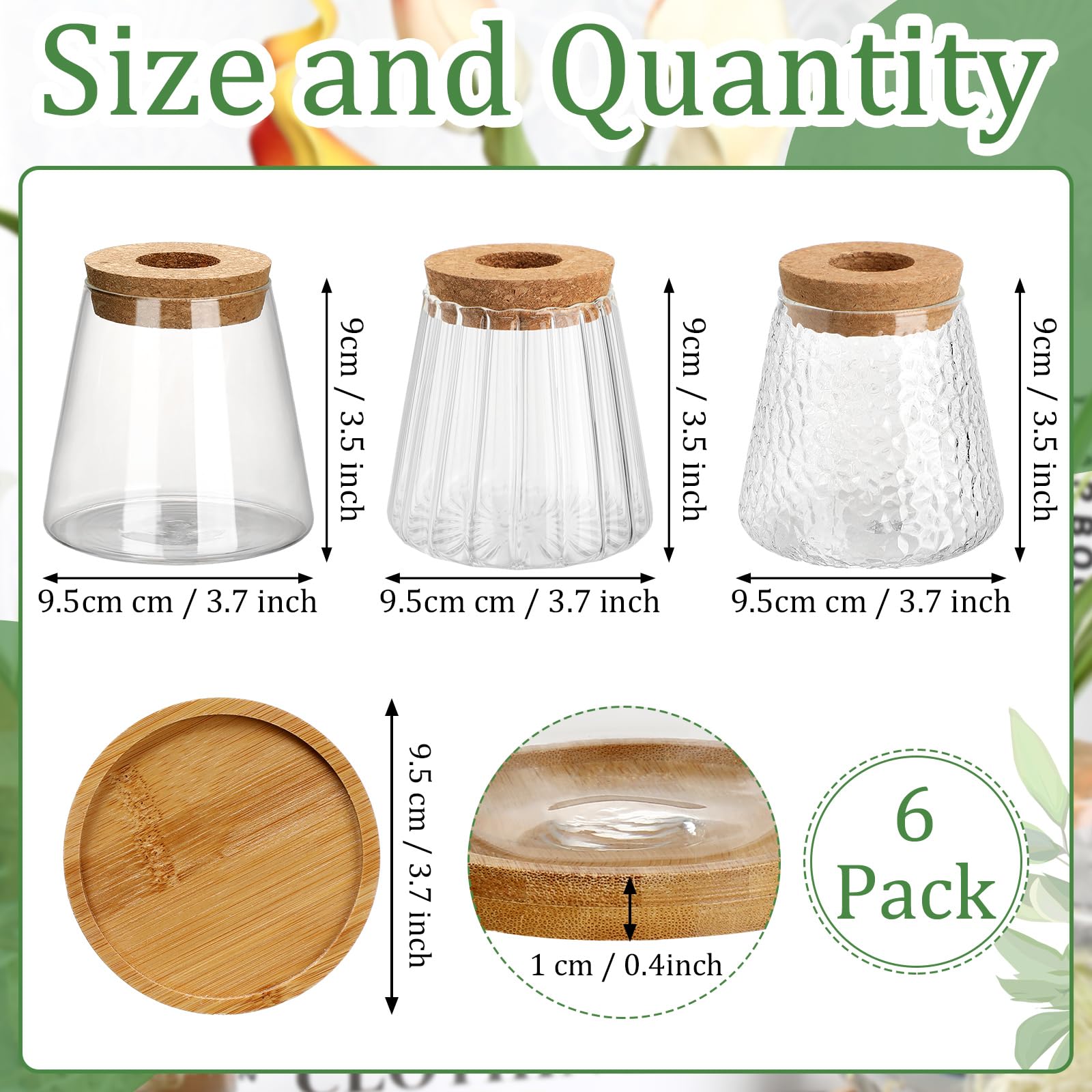 Snapklik.com : Beeveer 6 Pcs Plants Propagation Station Separated ...