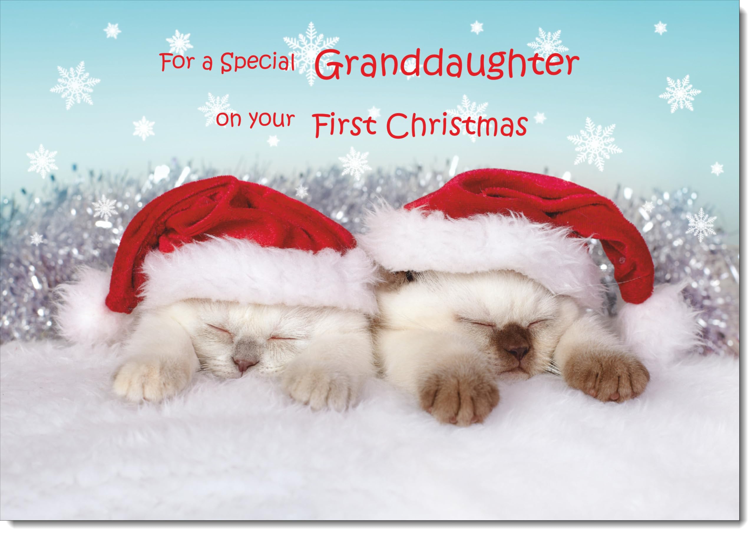 doodlecards Granddaughters 1st First Christmas Card Two Cats with Santa Hats Large A4 Size Christmas Card for Granddaughters 1st with Plain Envelope