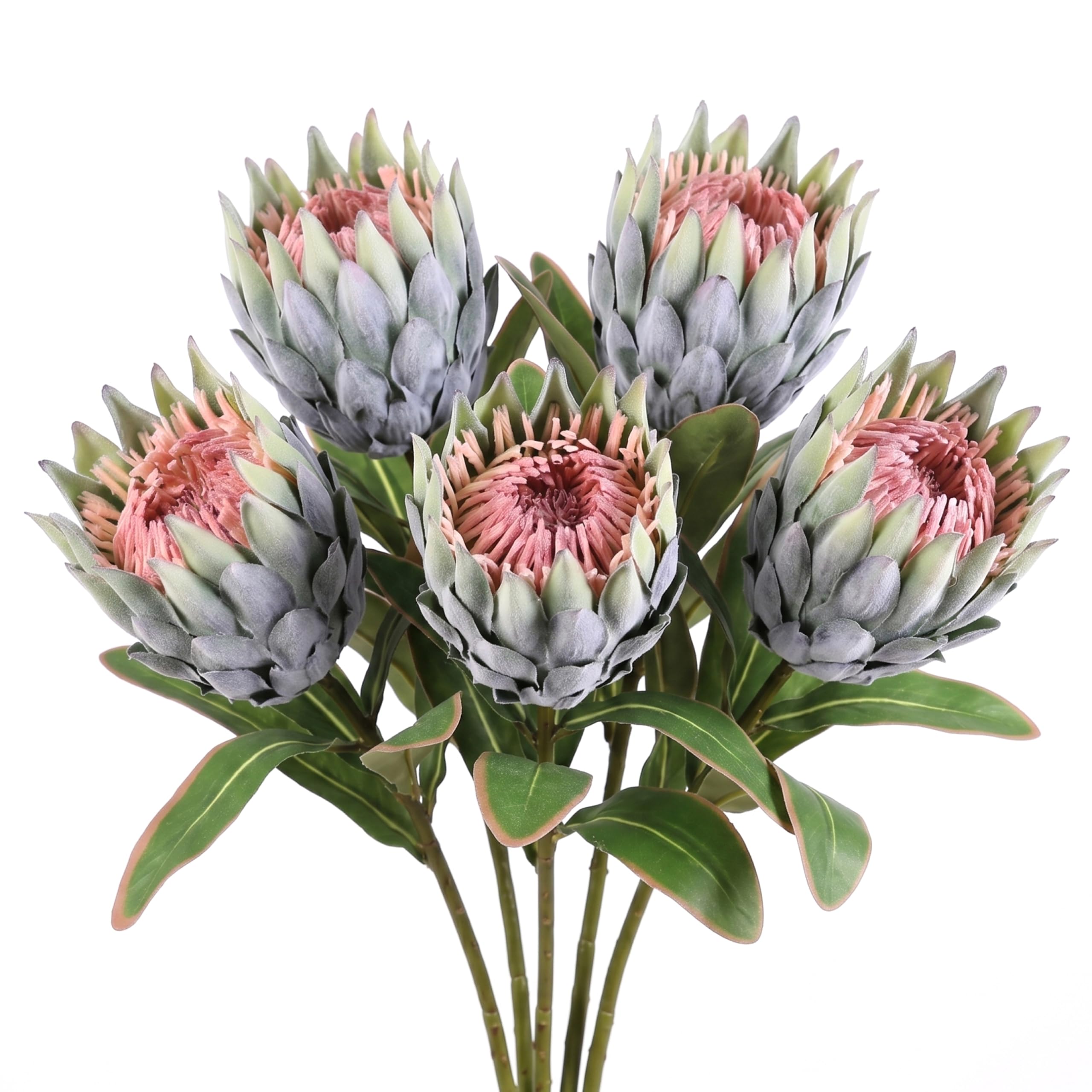 Fleurs artificielles Protea en soie sans entretien pour décoration durable 48cm