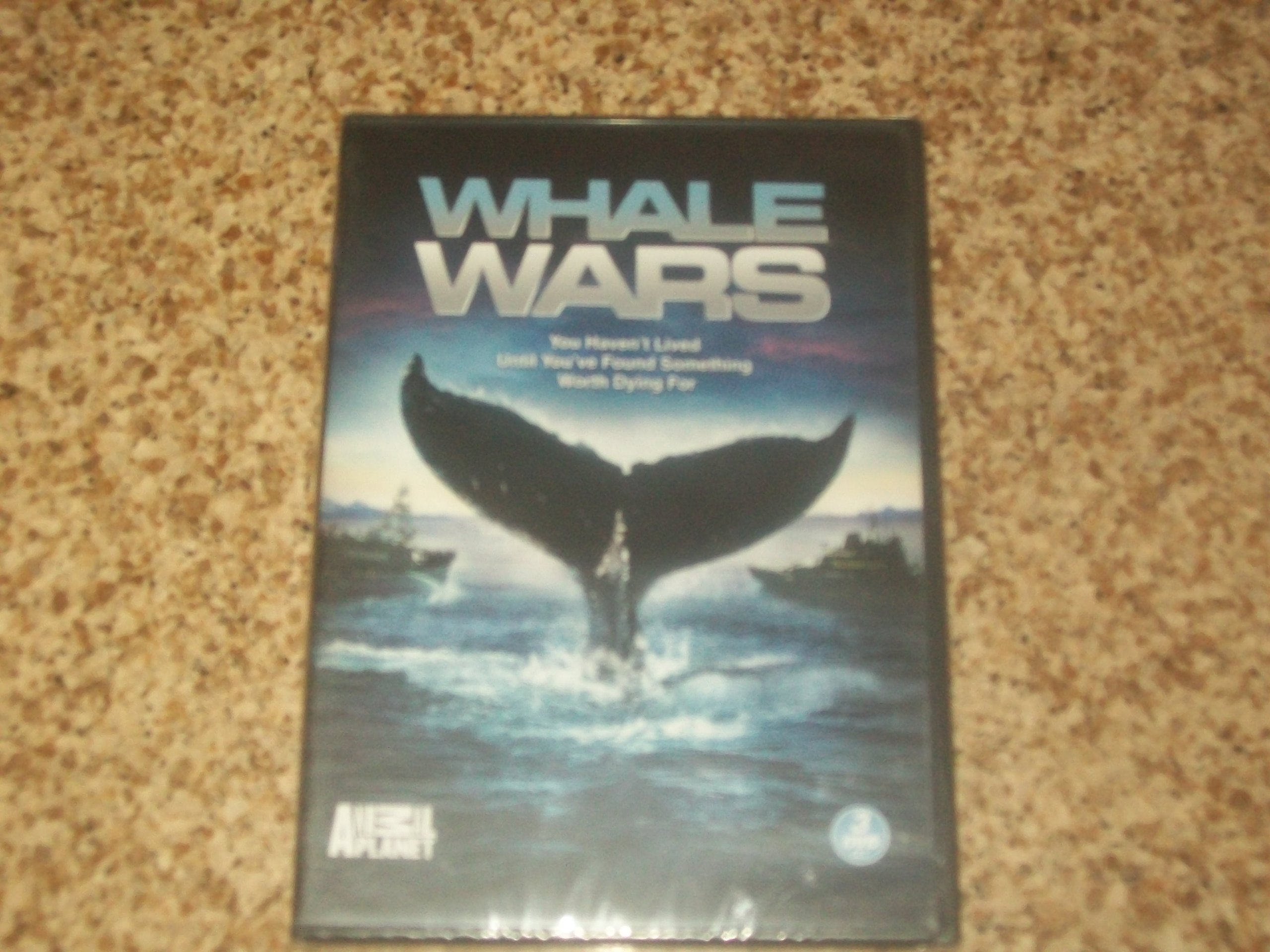 その他 Whales in Crisis [DVD] National Geographic: Whales in Crisis DVD w/ Crittercam
