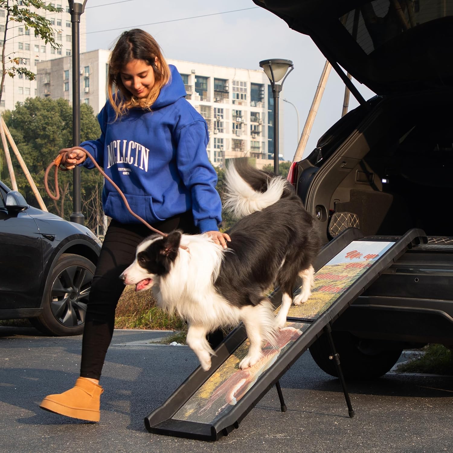 Dog Ramp for Car, 198lbs Heavy Duty Folding Pet Ramp for Large Dogs SUV Truck, 2-in-1 Portable Non-Slip Dog Ramps with Support Legs & Handles, No Assembly Required Pet Stairs for Outdoor Pool, Couch