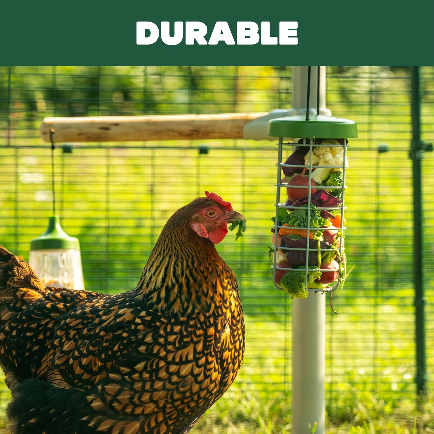 Omlet Caddi Chicken Treat Holder | Attaches Easily to Any Chicken Run | Durable and Practical | Fresh and Healthy Chicken Feeder | Interactive Fun for Your Chickens
