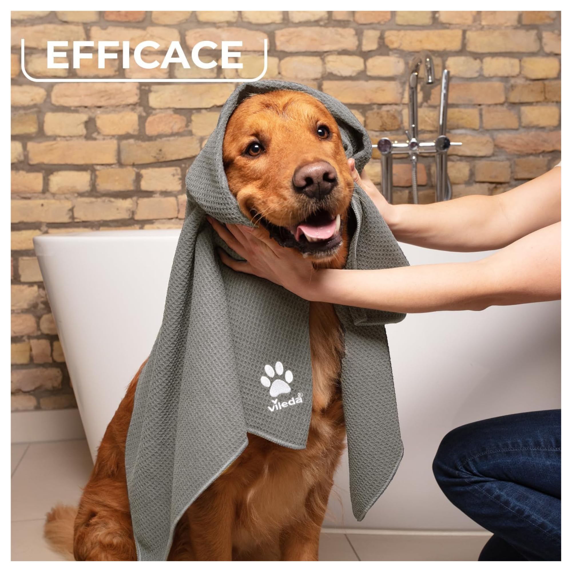 FEI FAN Panno per Cani in Microfibra, Pet PRO, Taglia XL (65x100cm) (2 unità)