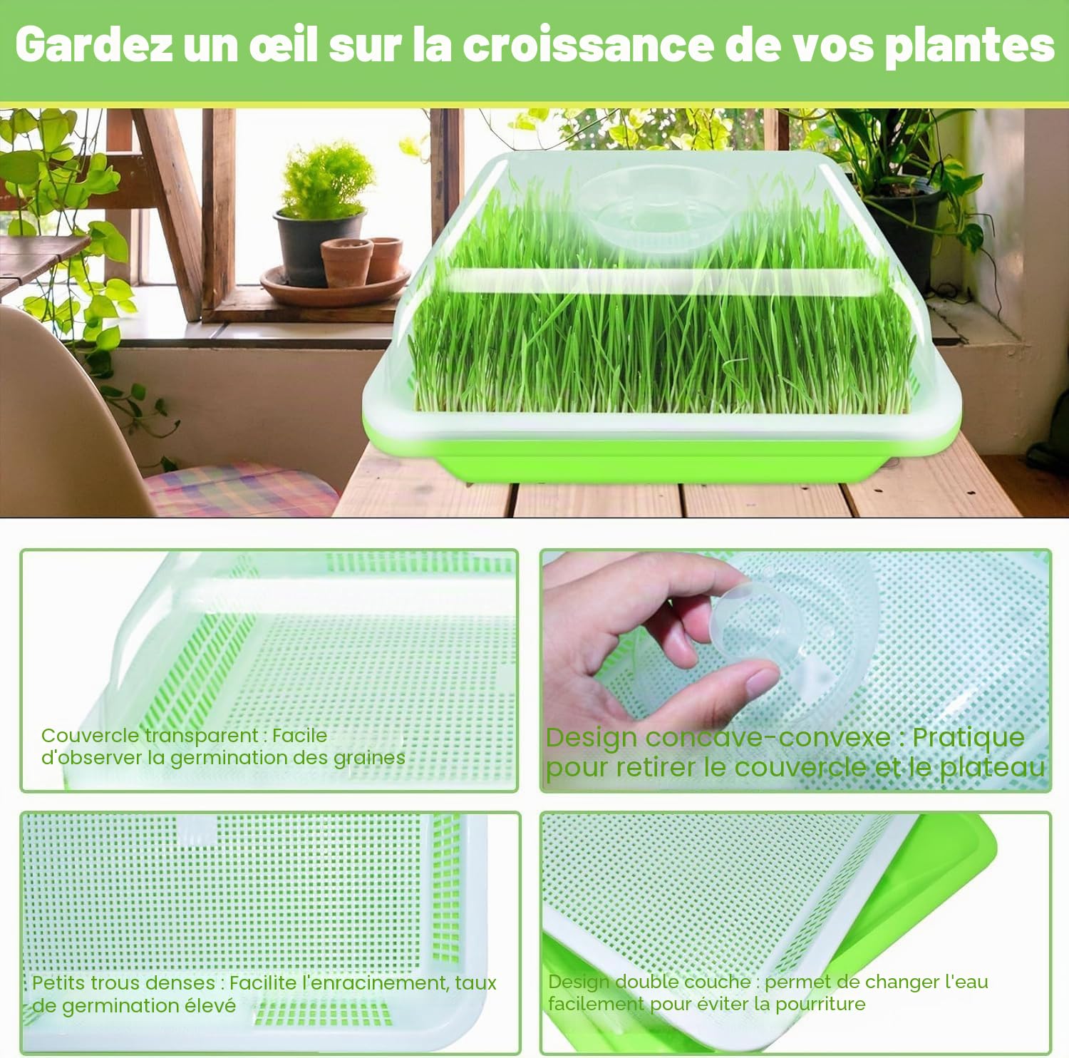 KAHEIGN 4 Pièces Plateaux de Germination de Graines avec Couvercle, 32CM x 26CM Plateau de Germination de Grande Capacité Propagateur Hydroponique Sain sans BPA avec 24 Papiers de Plantation
