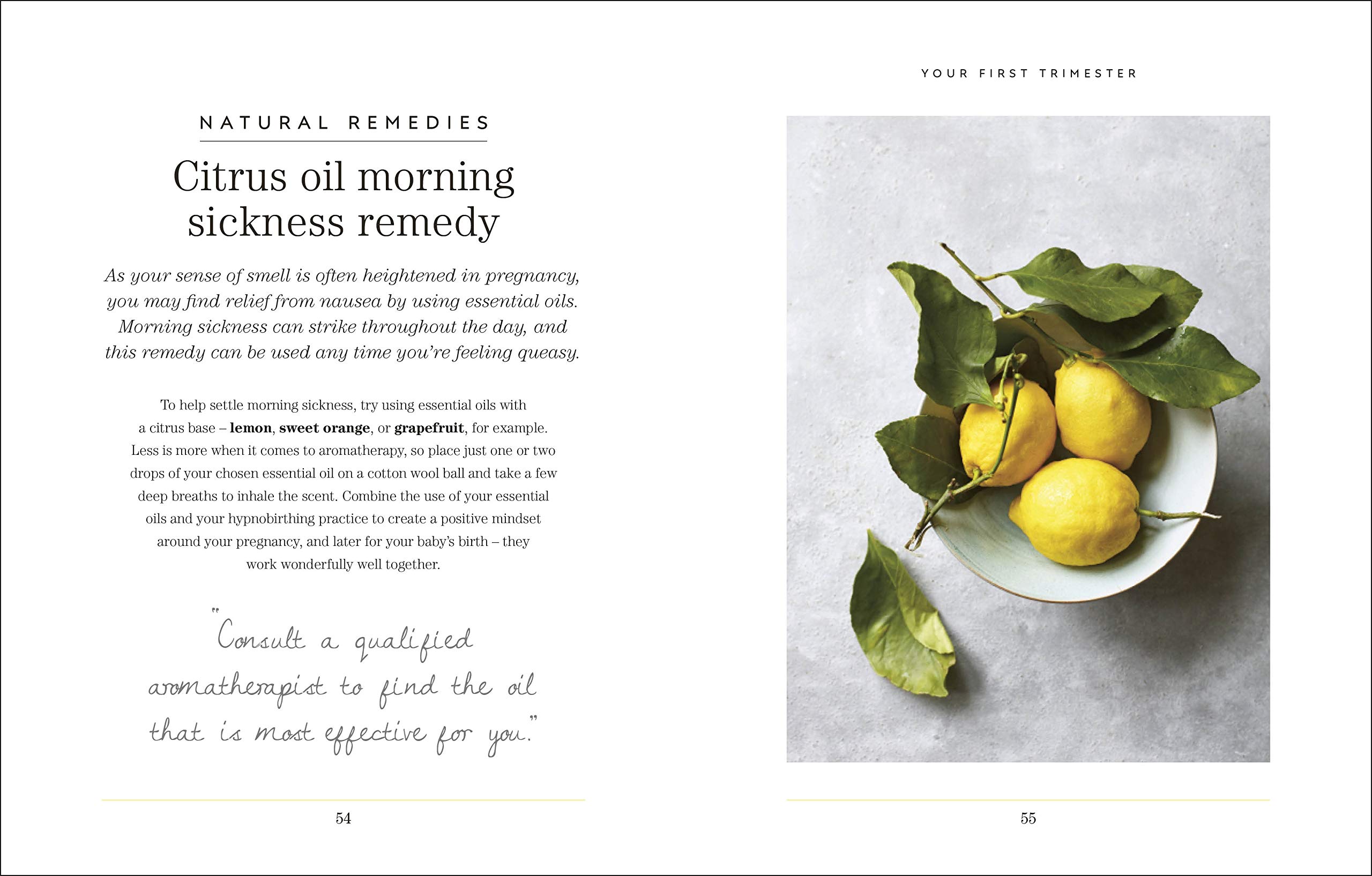 Mindful Pregnancy: Meditation, Yoga, Hypnobirthing, Natural Remedies, and Nutrition – Trimester by Trimester