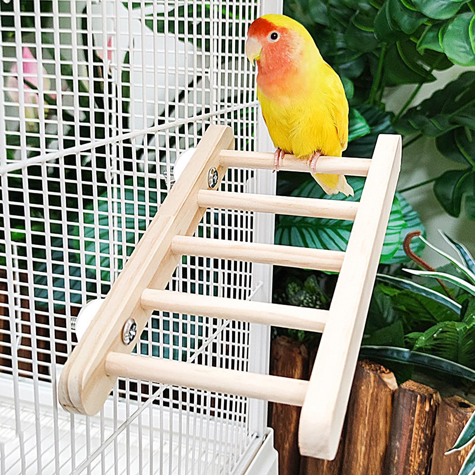 Amazon | Birsuruzor 鳥登りはしご、木製鳥はしご | 鳥用はしごはしご