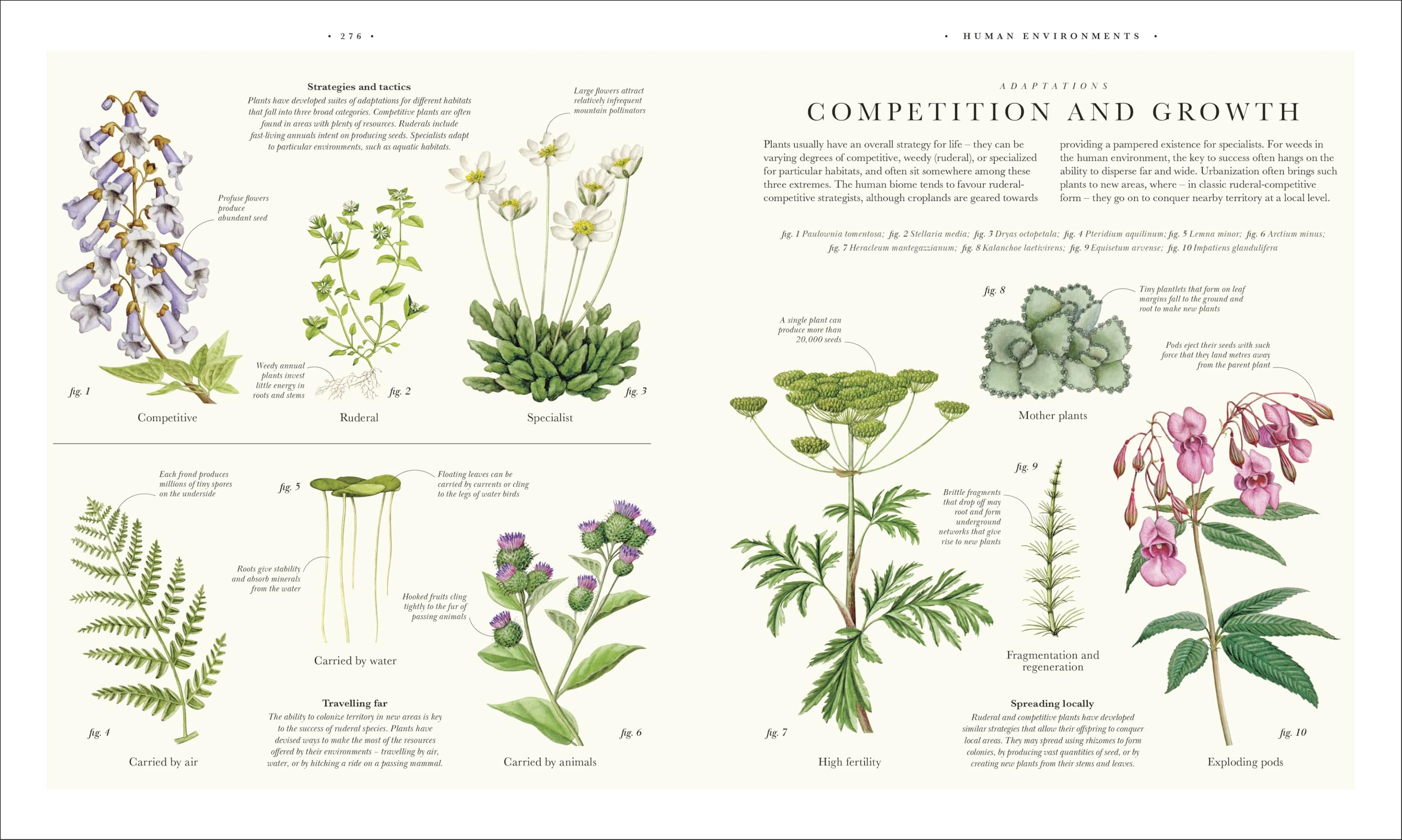 Atlas of Botany: An Exploration of Plants Across Time and Around the World