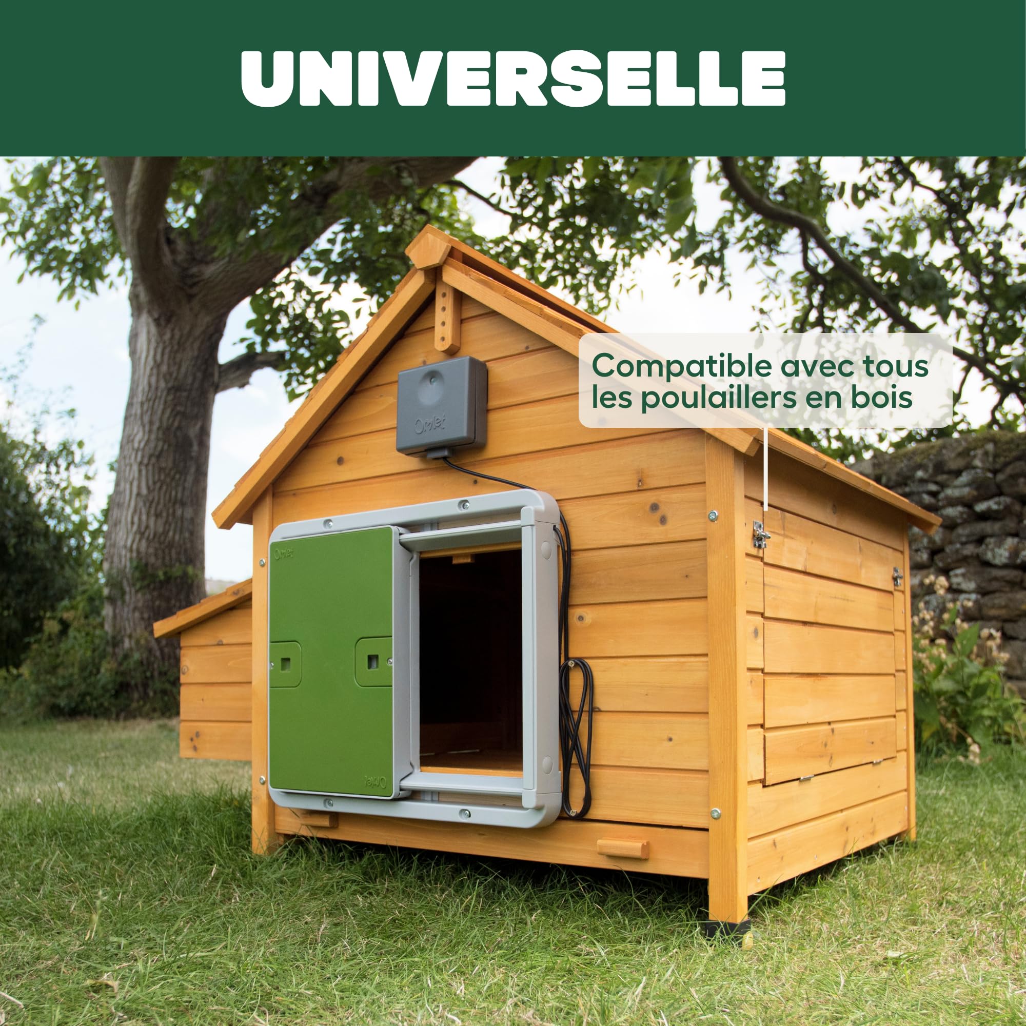 Omlet Porte de Poulailler Automatique | Ouverture et Fermeture par Capteur de Lumière ou Minuterie | Facile à Installer et sans Entretien | Sécurité Renforcée et Meilleure Isolation | Vert