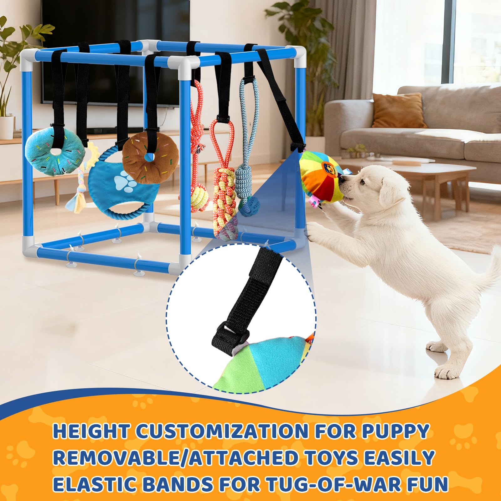 Welpenspielstudio mit 8 hängenden Spielzeugen, interaktives Welpenspielzeug für kleine Rassen, Indoor-Spiel-Fitnessstudio für Langeweile, Bereicherung, Aktivität, Zahnen, PVC-Rahmen, dehnbares