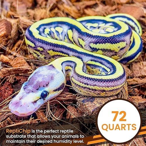 Miniatura 5 de ReptiChip - Sustrato de chips de coco comprimido para reptiles de 72 cuartos de galón ropa de cama de ladrillo con chips de coco