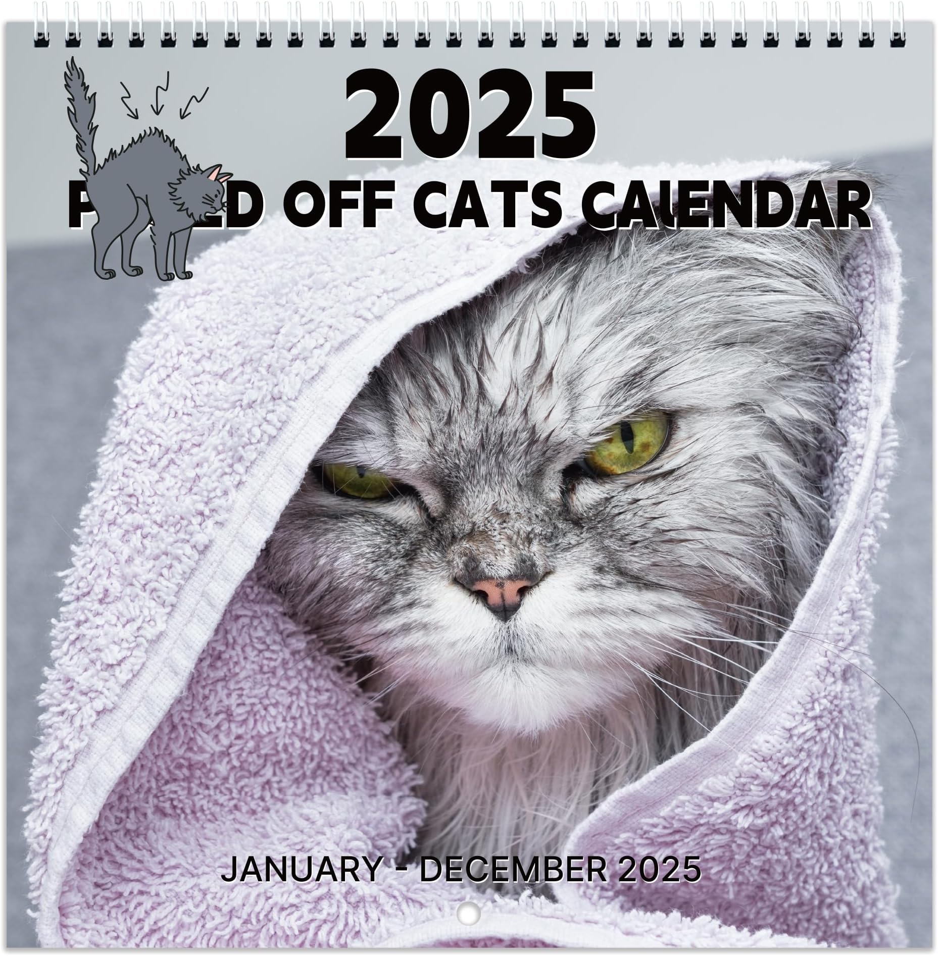 2025 Wall Calendar Funny Cat Calendar 2025, 9.64" x 19.3