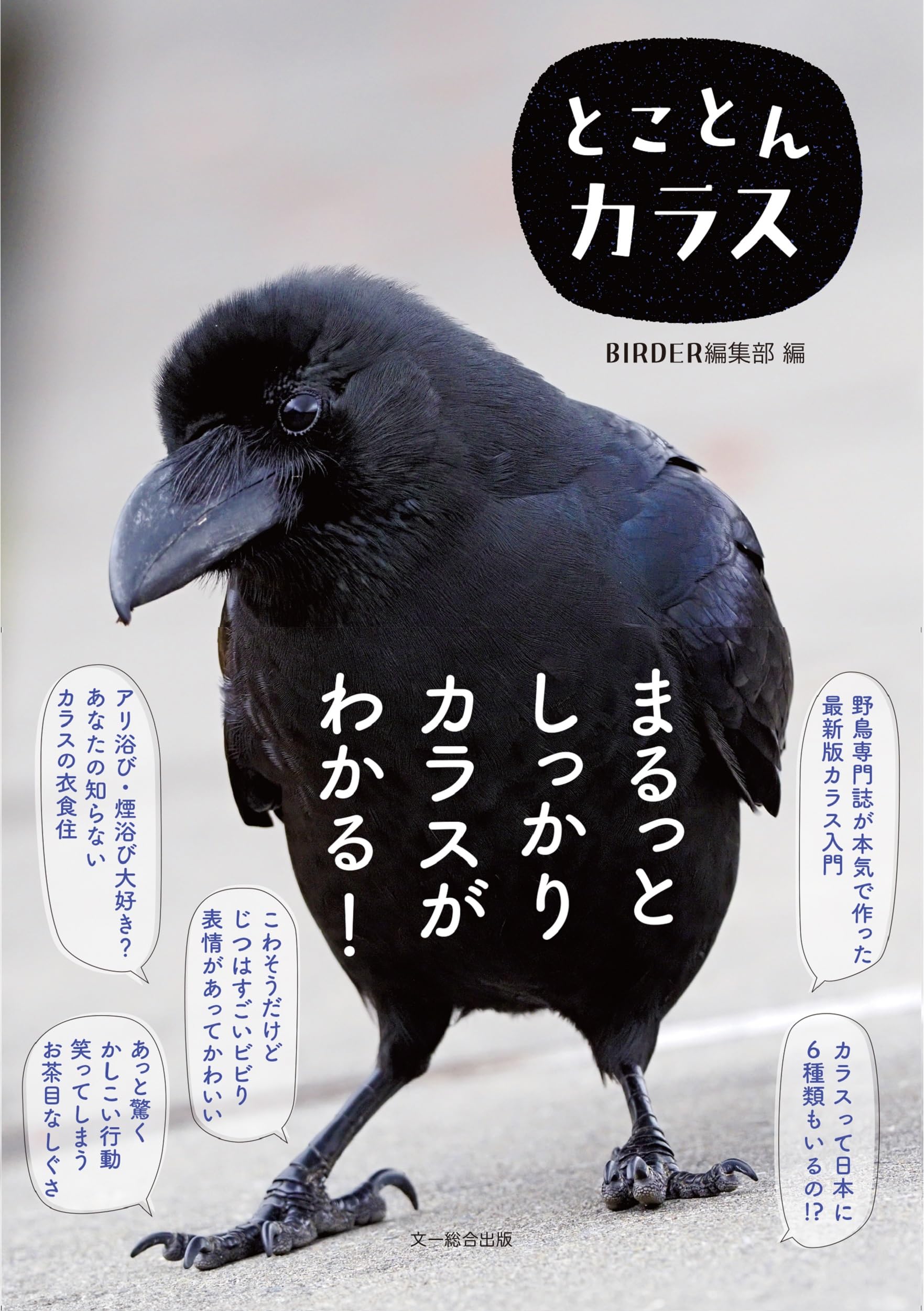とことんカラス | BIRDER編集部 |本 | 通販 | Amazon