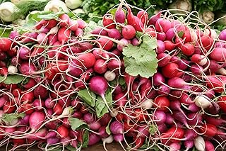 White, Pink, and Red 30-Day Radish Seed Mix – Traditional Crisp Spring Radish Varieties – Heirloom Seeds | Liliana's Garden |