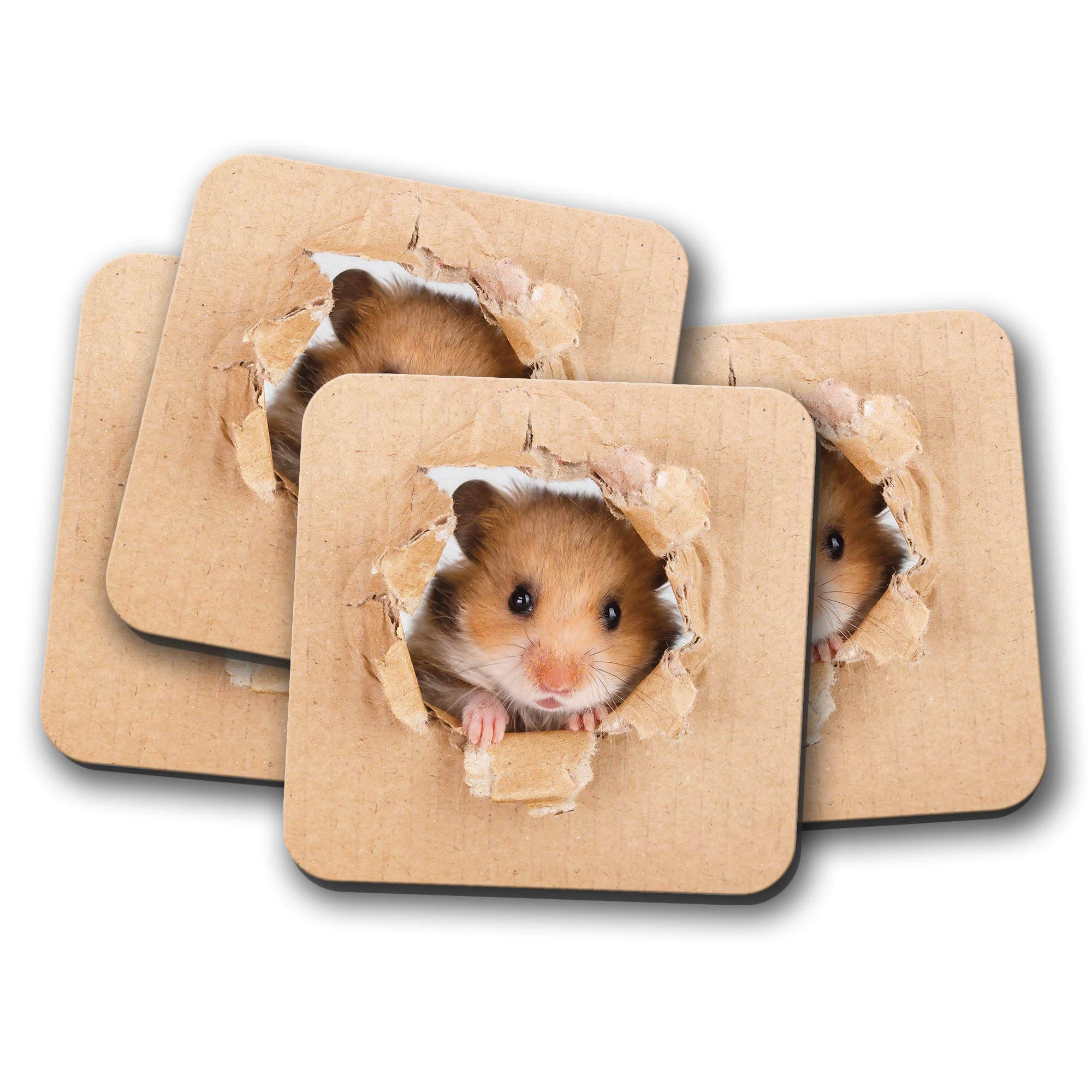 Destinationvinyl Multicolor 4 Set - Funny Hamster Mouse Coaster - Rodent Kids Rat Gerbil Mice #8521