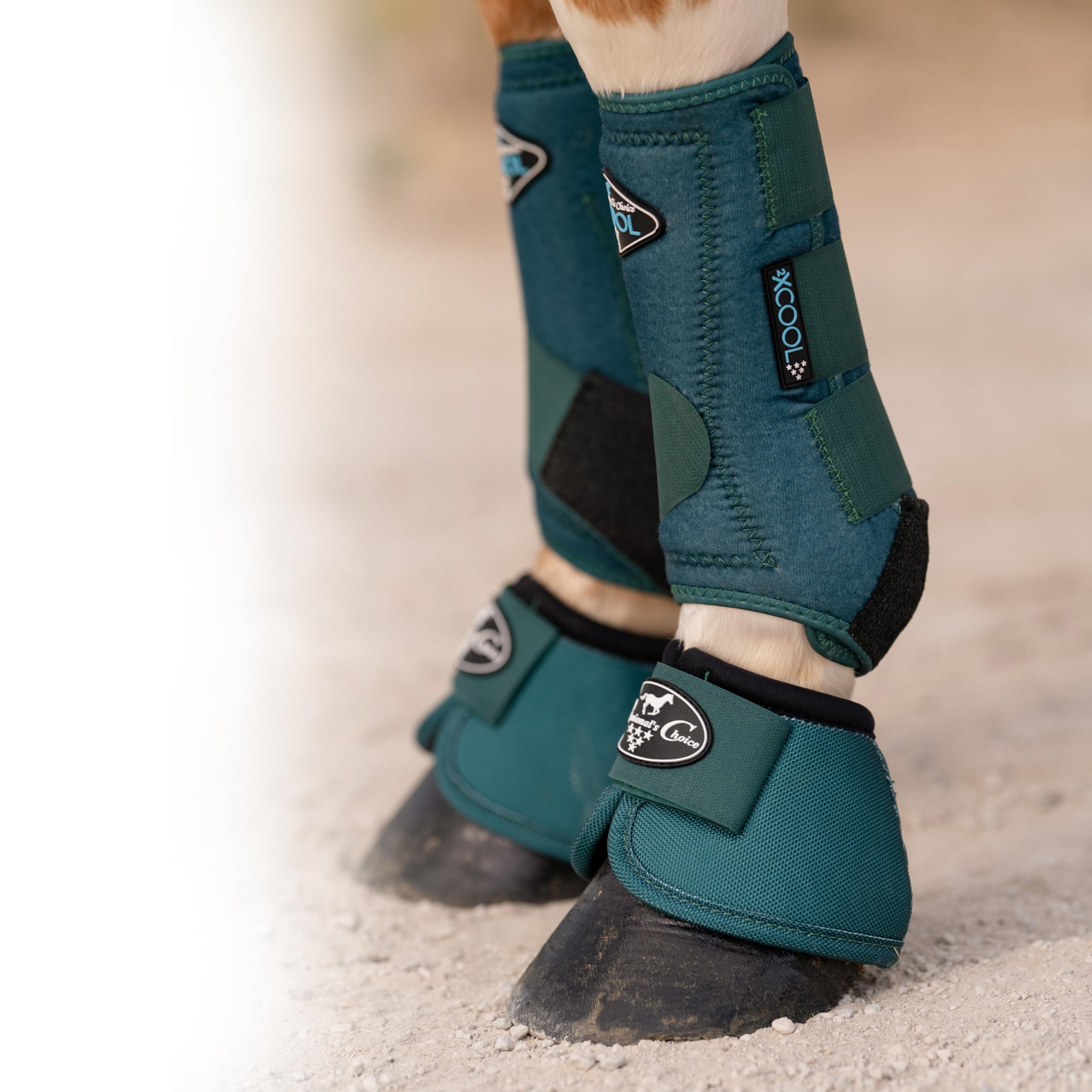 Professional's Choice 2XCOOL Sports Medicine Horse Boots | Protective & Breathable Design for Ultimate Comfort & Durability in Active Horses | Value 4 Pack