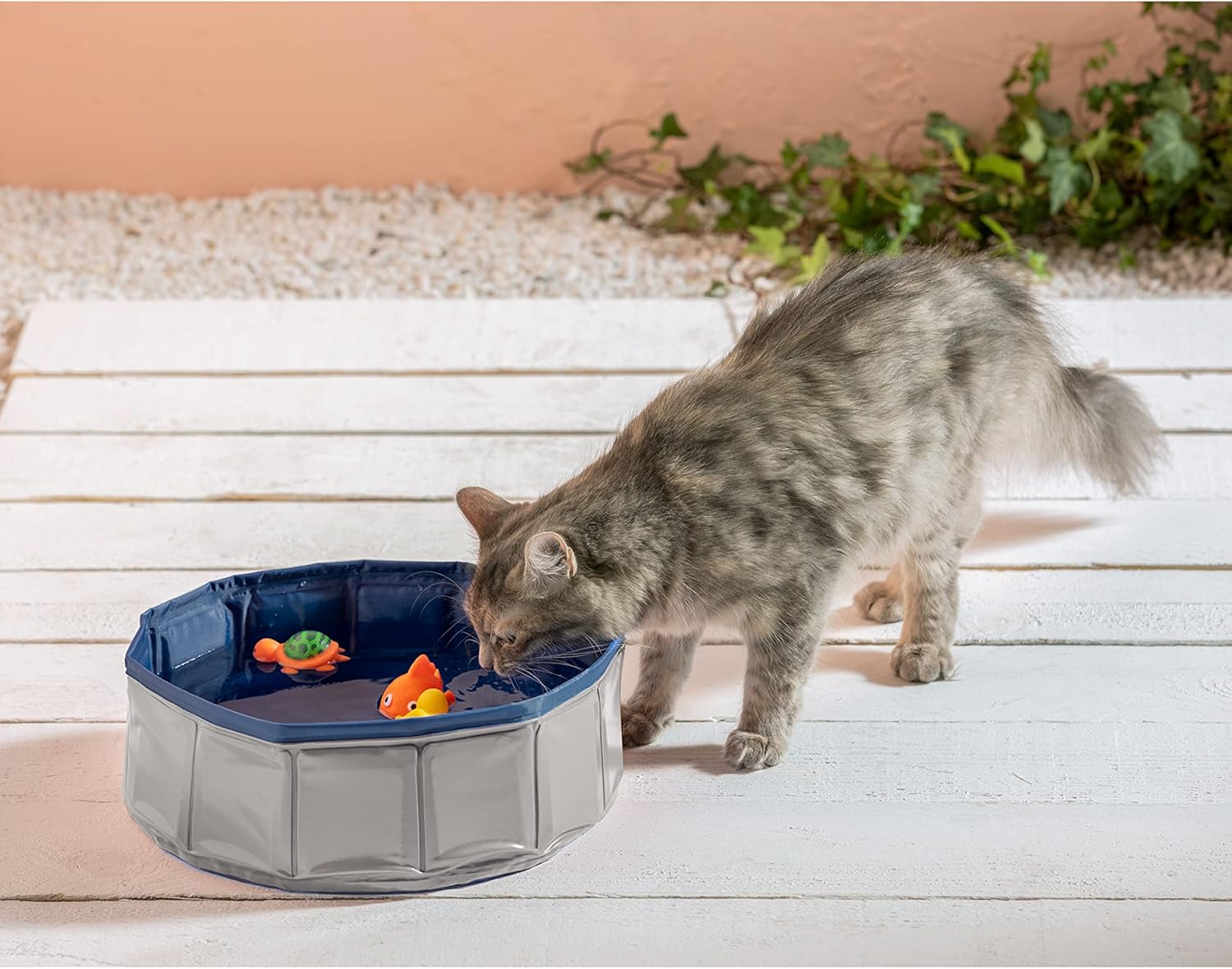 Dehner Lieblinge Water Games Cat Pool, Diameter 30 cm, Height 10 cm, Plastic, Grey/Blue
