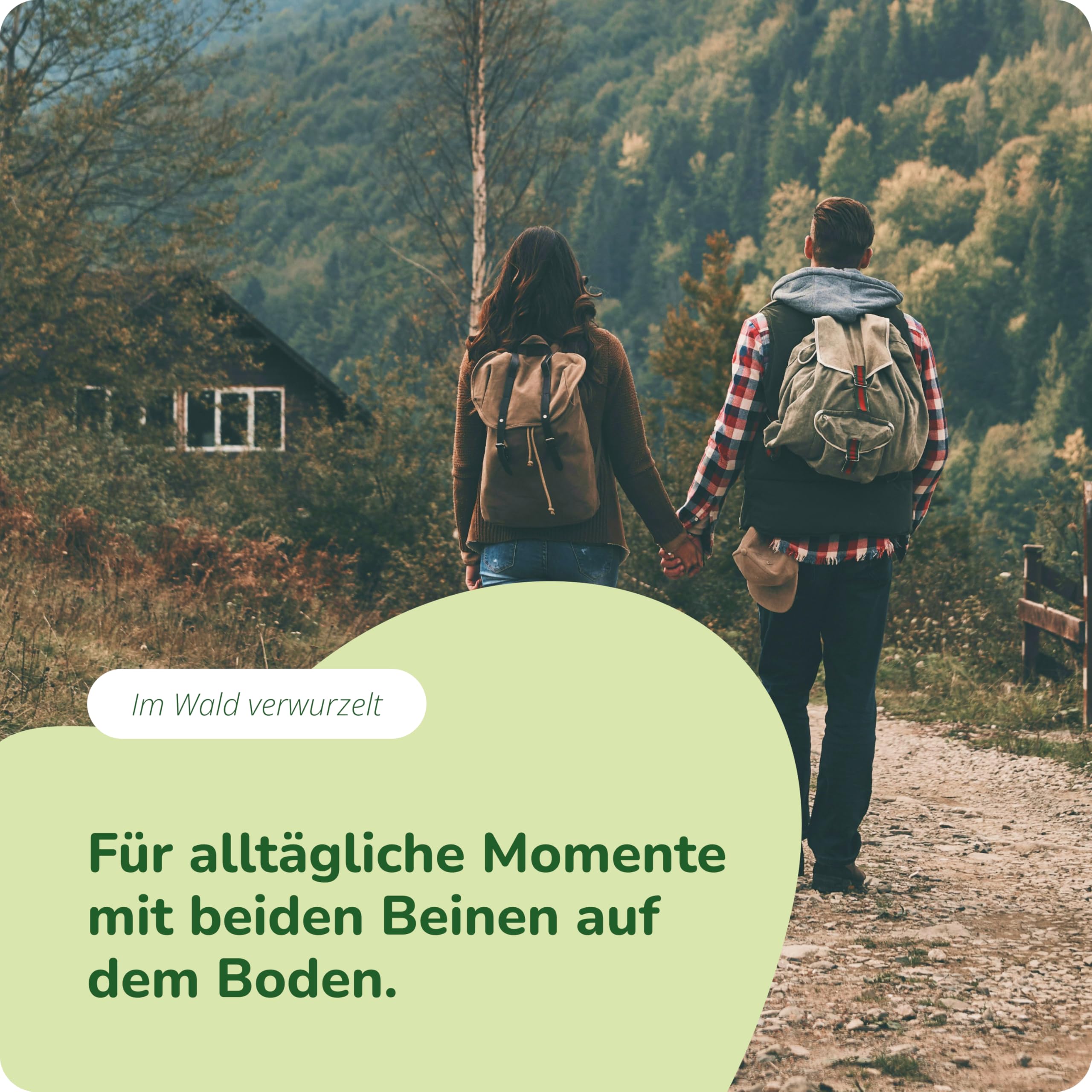 Vegavero Bio Pilz Komplex Hochdosiert - 90 vegane Kapseln - 1300 mg 7 Vitalpilze Extrakte - Reishi Lions Mane Cordyceps Chaga Shiitake Maitake Agaricus - 490 mg Polysaccharide & Beta-Glucane