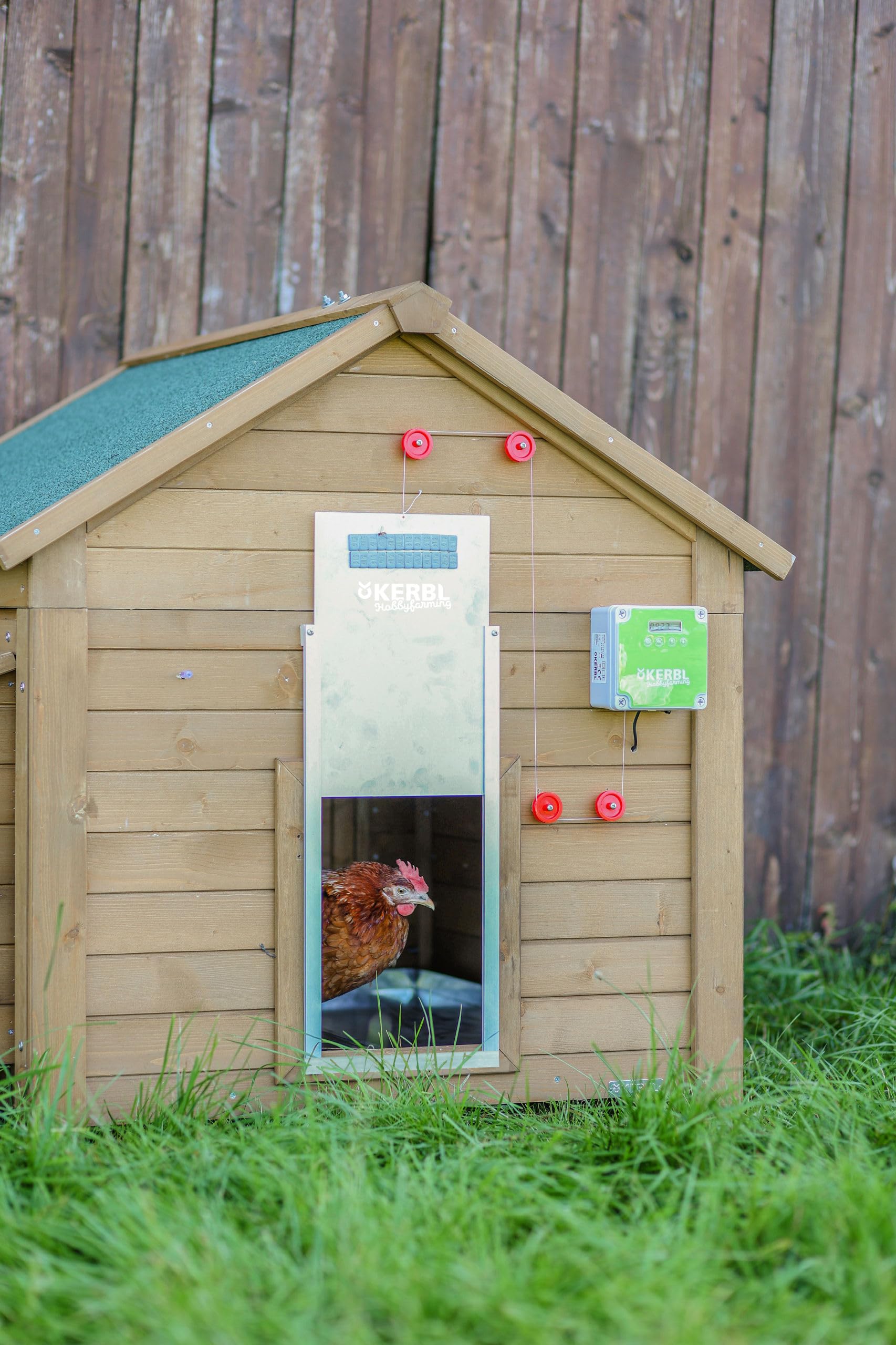 Kerbl Hobbyfarming Puerta Auto. gallinas c. Puer. corredera 430 נ400 mm, envase