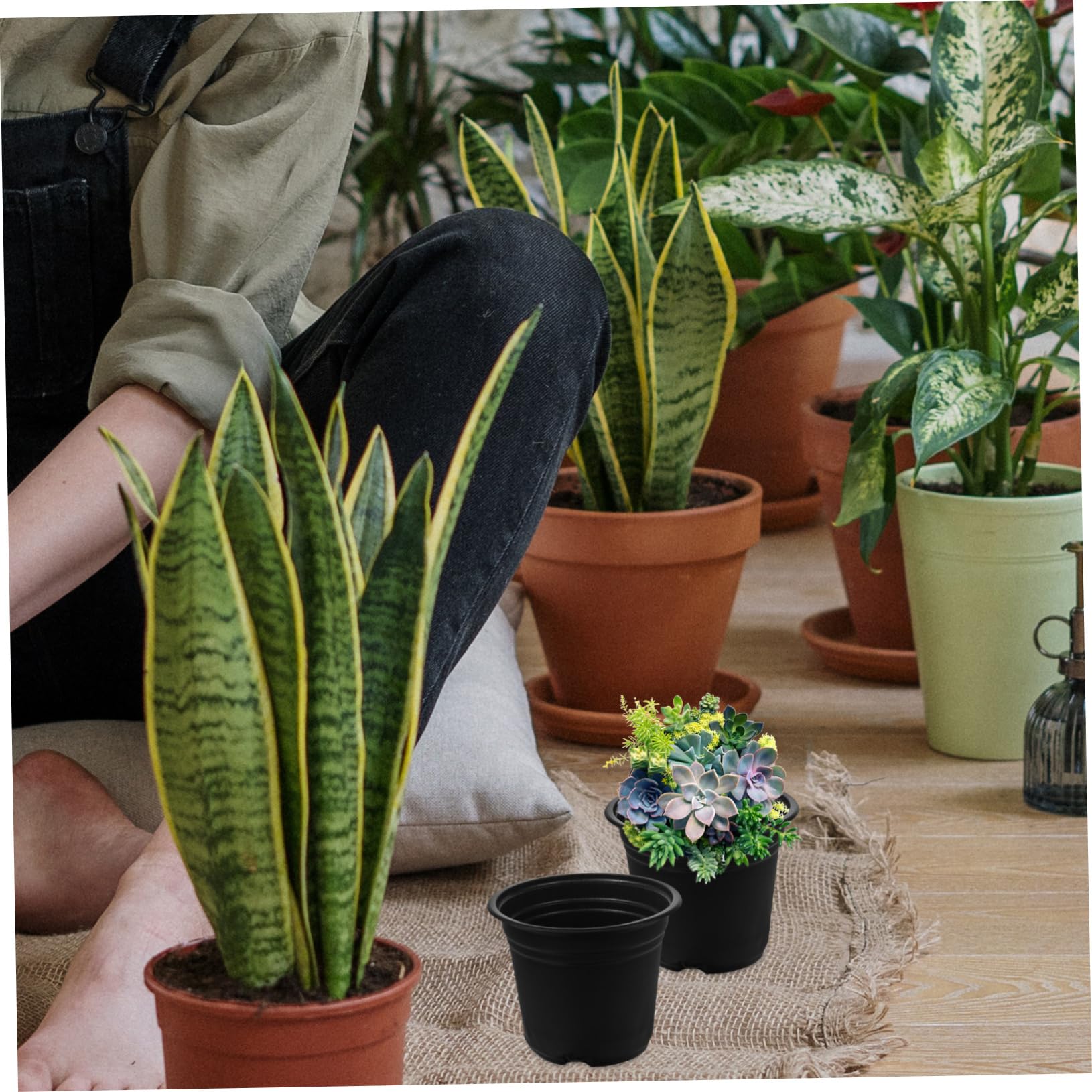 Abaodam Pots de Semis en Plastique Noir 50 Pièces pour Plantes Succulentes Jardin Extérieur Pot de Pépinière Trou Drainage Léger et Réutilisable