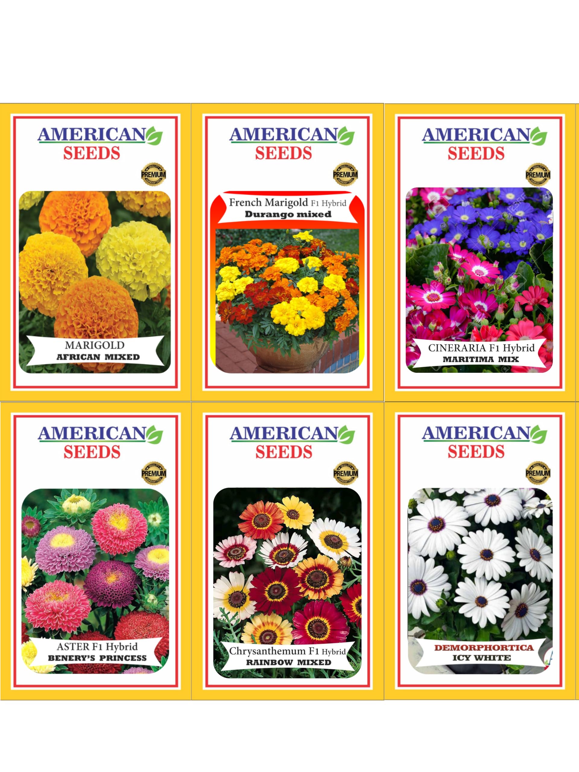 HYBRID Winter Flower seeds combo (PACK OF 6, 300+ seeds) for Home Garden (B0CNNN9QCC) Amazon Price History, Amazon Price Tracker