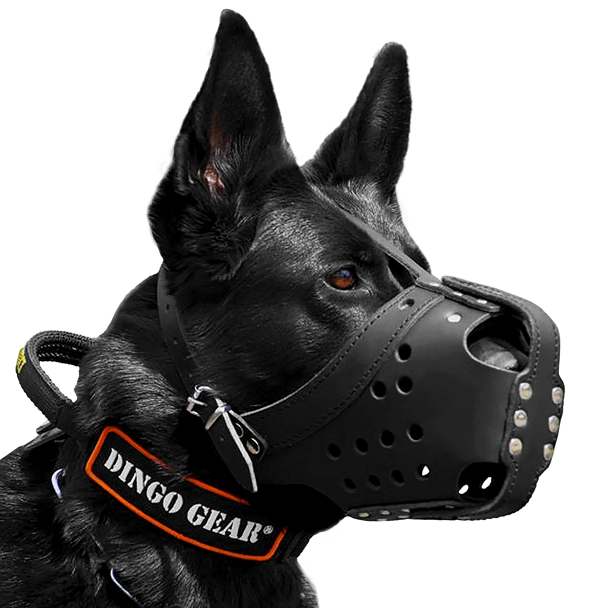 DINGO GEAR Dog Training Muzzle for Defence, Training and Service HQ Leather Handmade Lightweight S03032
