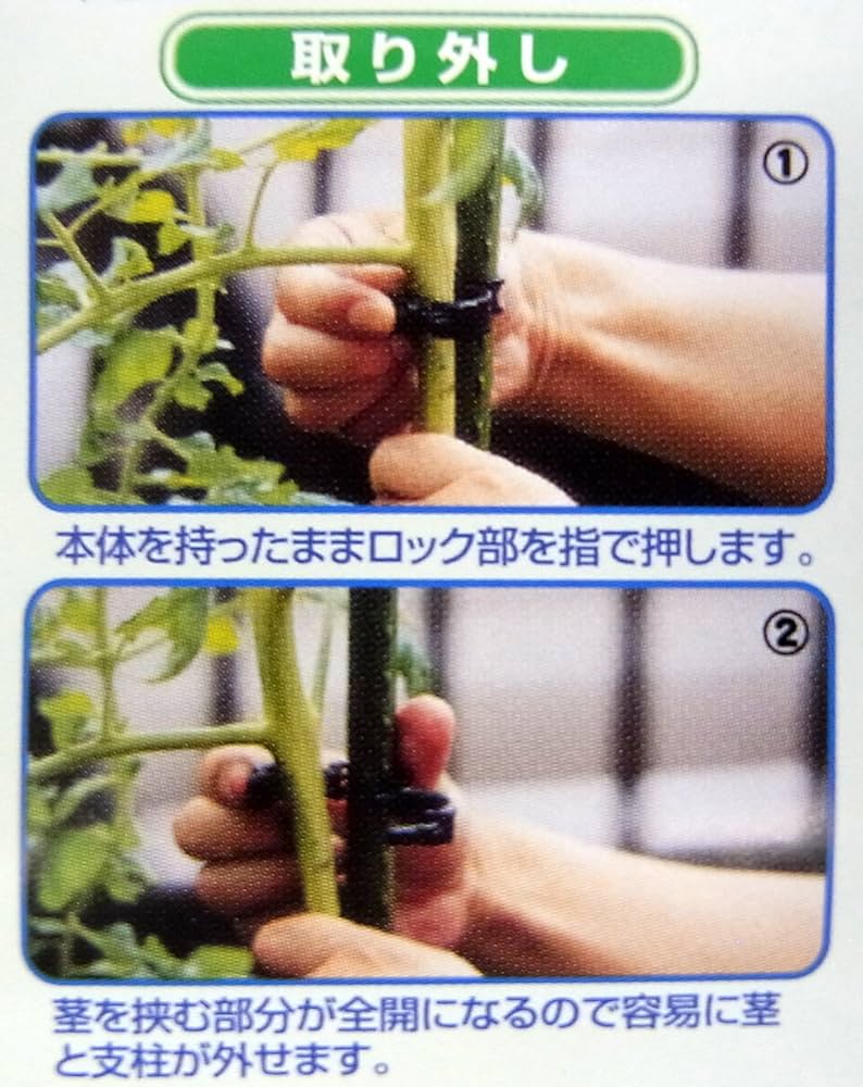 新品　しちゅうキャッチ 16 　3000個 しちゅうキャッチ 16緑 300個入り の通販 | ホームセンター