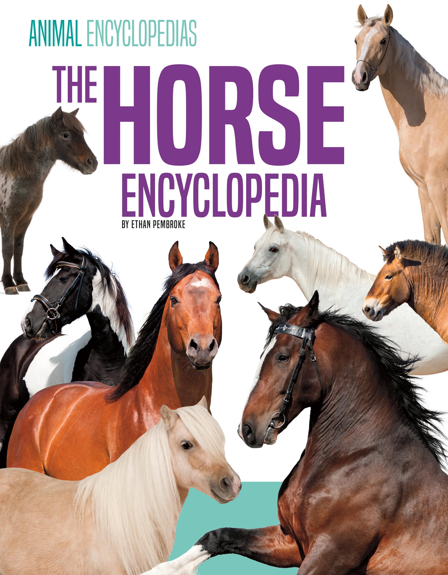 Abdo Publishing The Horse Encyclopedia for Kids