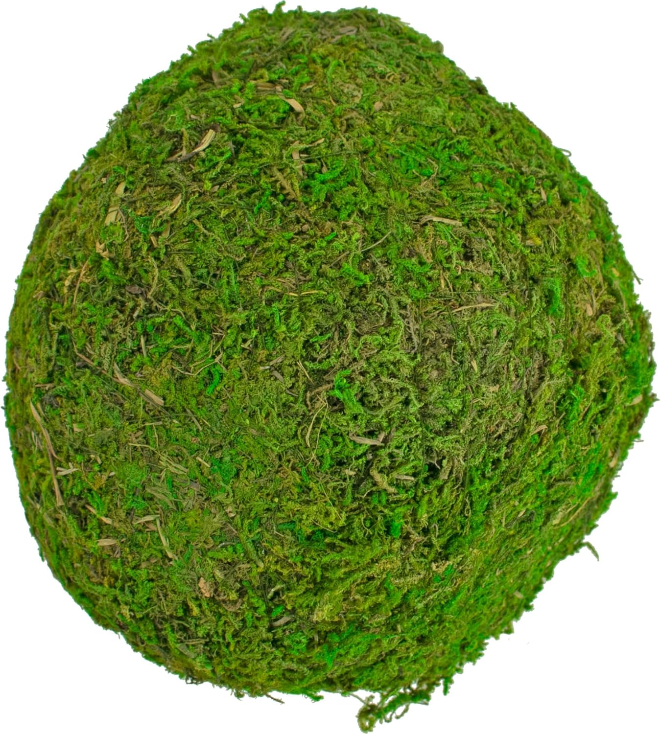 6-Inch Diameter Decorative Moss Balls, Real Natural Home Decor and Accents, Tabletop Display and Centerpieces Green Moss on Foam Core, 4in Round, Sold in Bundles of 8