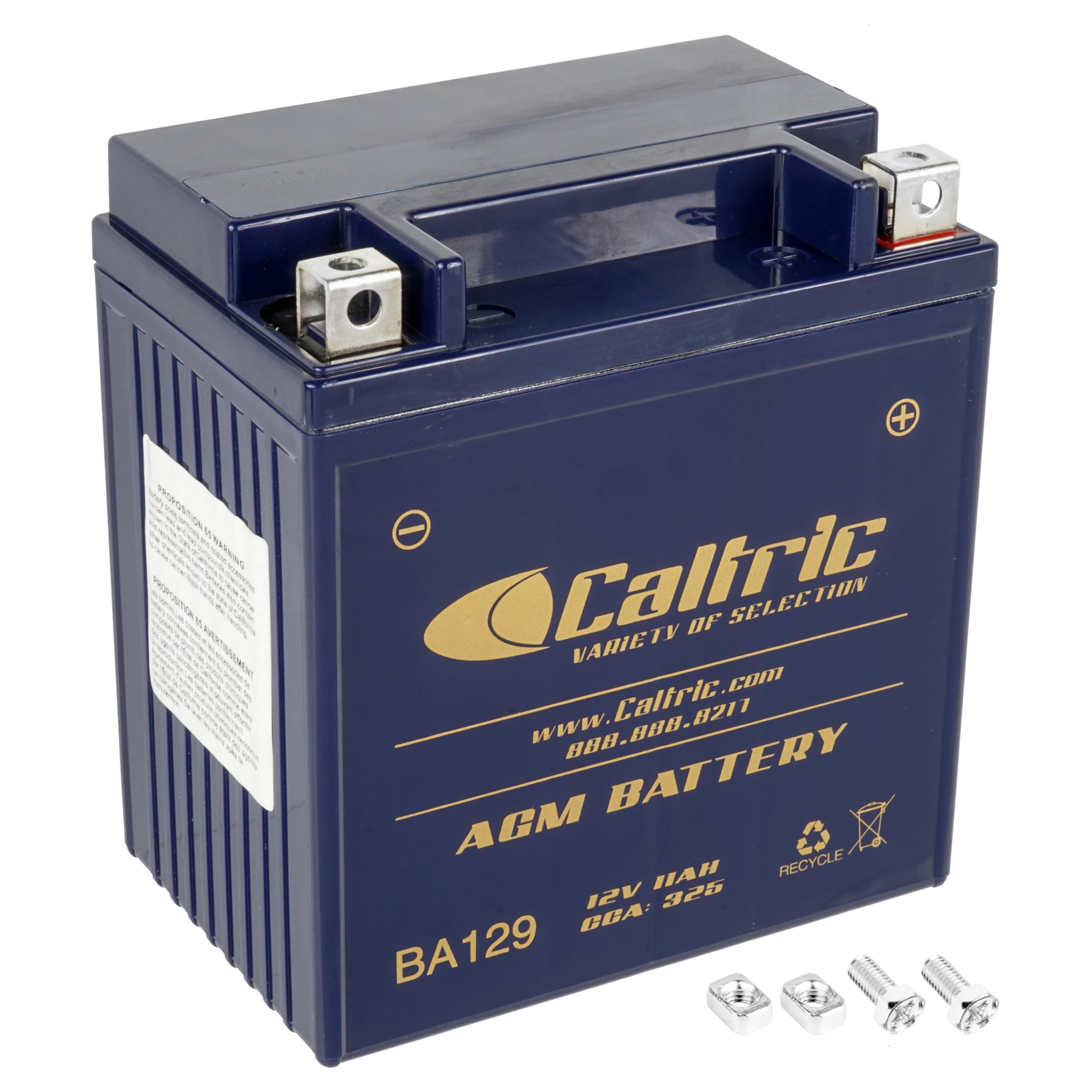 Amazon.com: Caltric Agm Battery Compatible with Suzuki Gs550