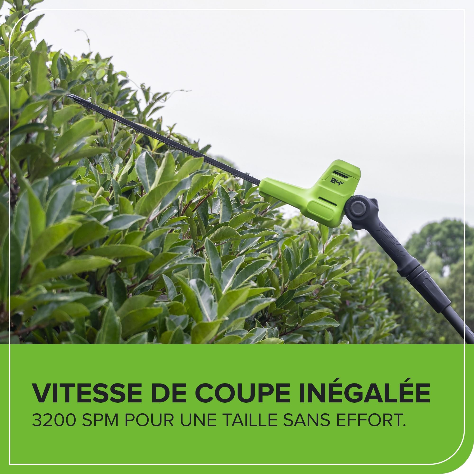 Greenworks 24V Cortasetos Pértiga a Batería con Eje Divisible, Cuchillas Doble Acción 51 cm, Cortes 28 mm, Pivote Cabezal de 112.5°, 3200 SPM SIN Batería ni Cargador PH24B01-01