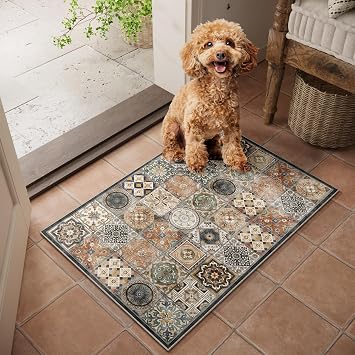 Machine Washable Entryway Small Area Rugs: Soft Non-Slip Low Pile Door Mat Indoor Entrance 2x3 ThrowRug for High-Traffic Areas Kitchen, Hallway, Farmhouse Decor