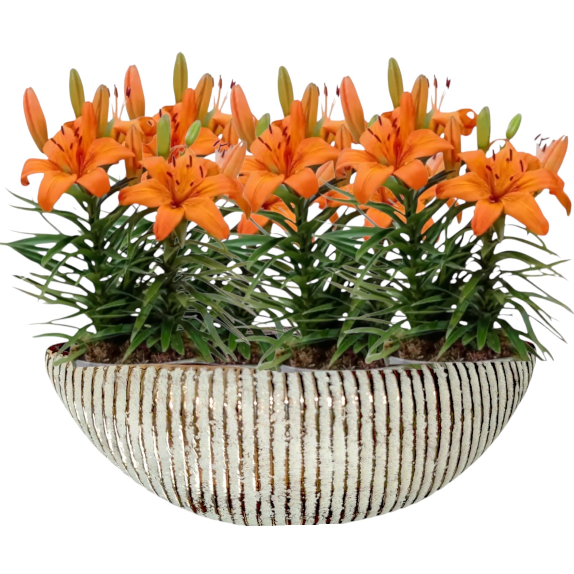 Garden Art Ceramic Pot - Home & Office Decor -28 Garden Art Ceramic Pot - Home & Office Decor -28