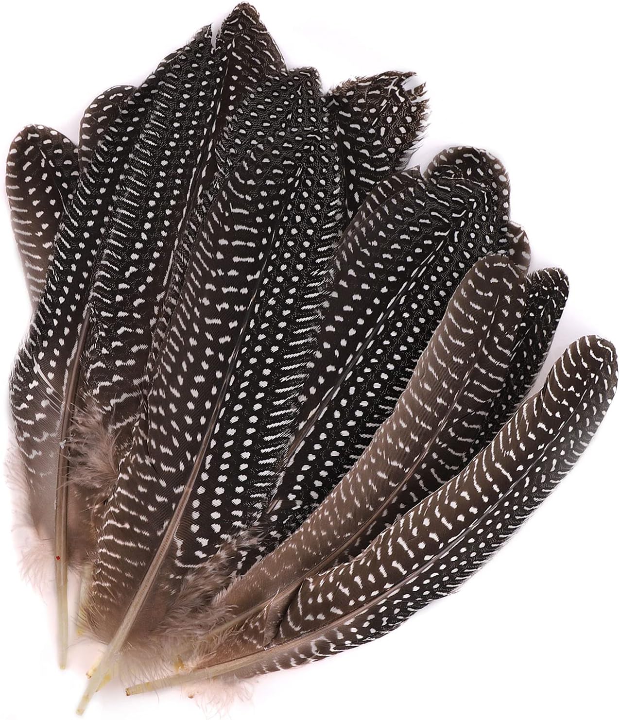 30 Pcs Natural Pheasant Feathers,DIY Pheasant Tails Feather,Soft Native Plume for Hair Hats Crafts Party Decoration Cosply Props,Natural Color