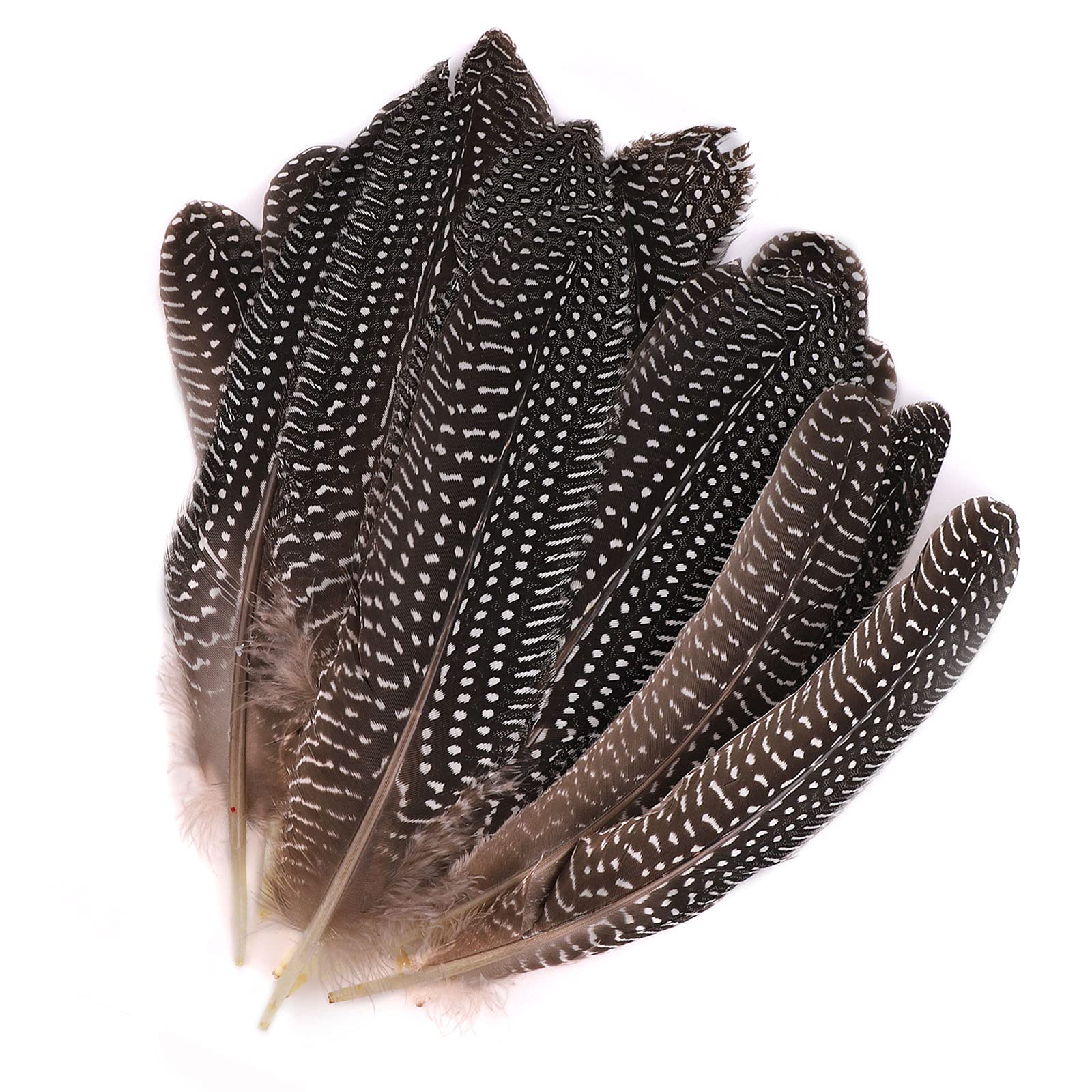 30 Pcs Natural Pheasant Feathers,DIY Pheasant Tails Feather,Soft Native Plume for Hair Hats Crafts Party Decoration Cosply Props,Natural Color