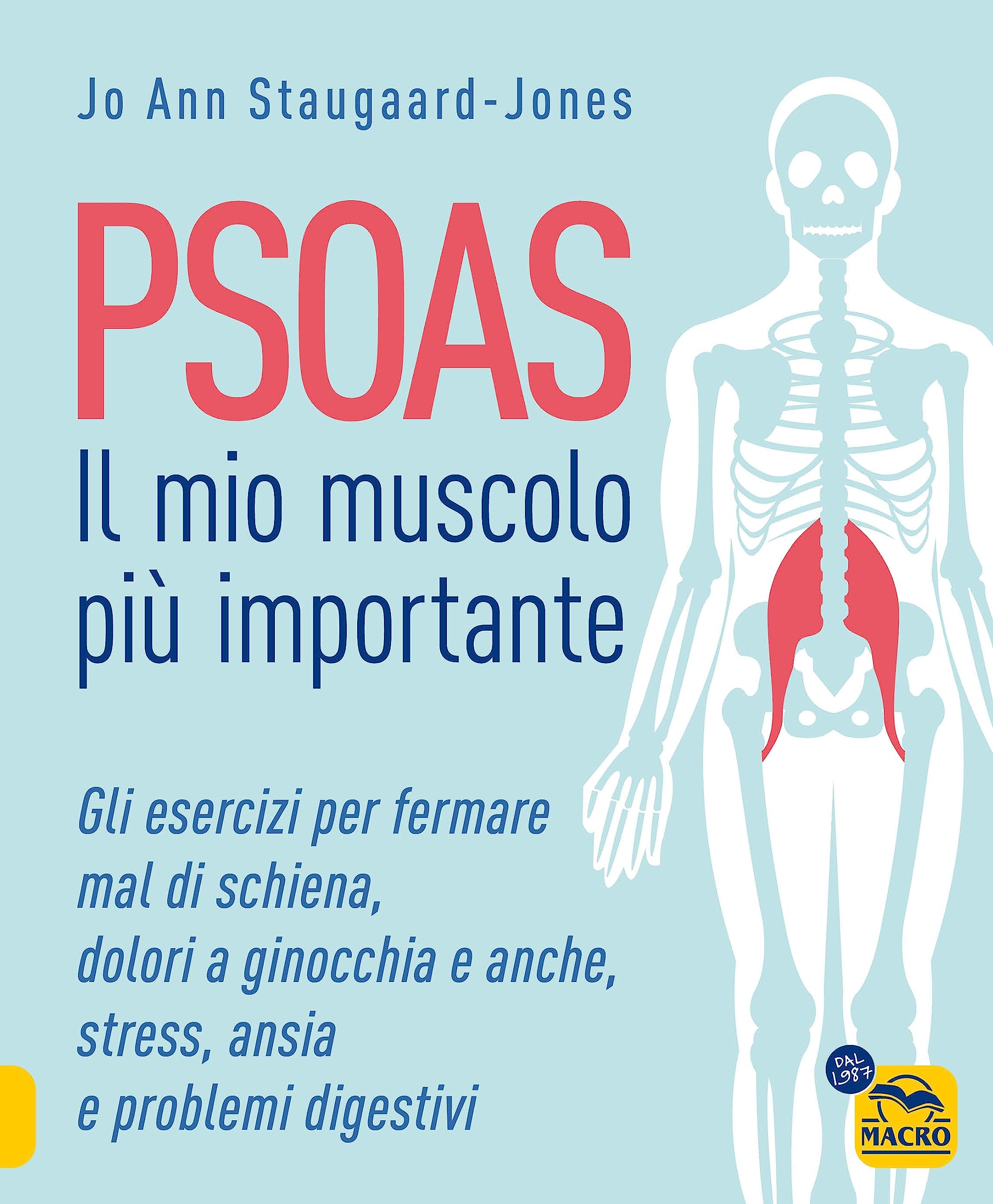 Tecniche Corporee PSOAS - Il Mio Muscolo più Importante