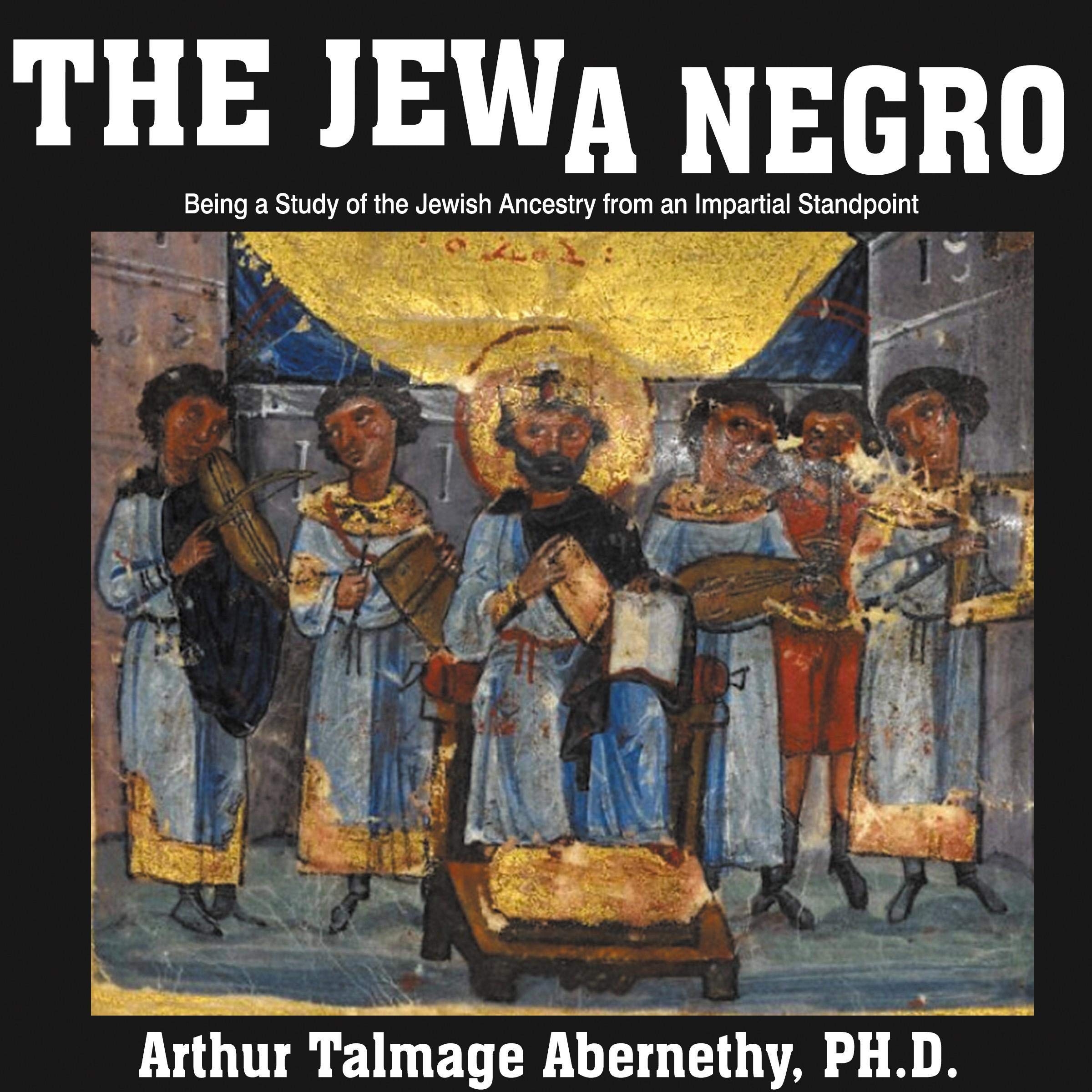 Cover art for The Jew a Negro