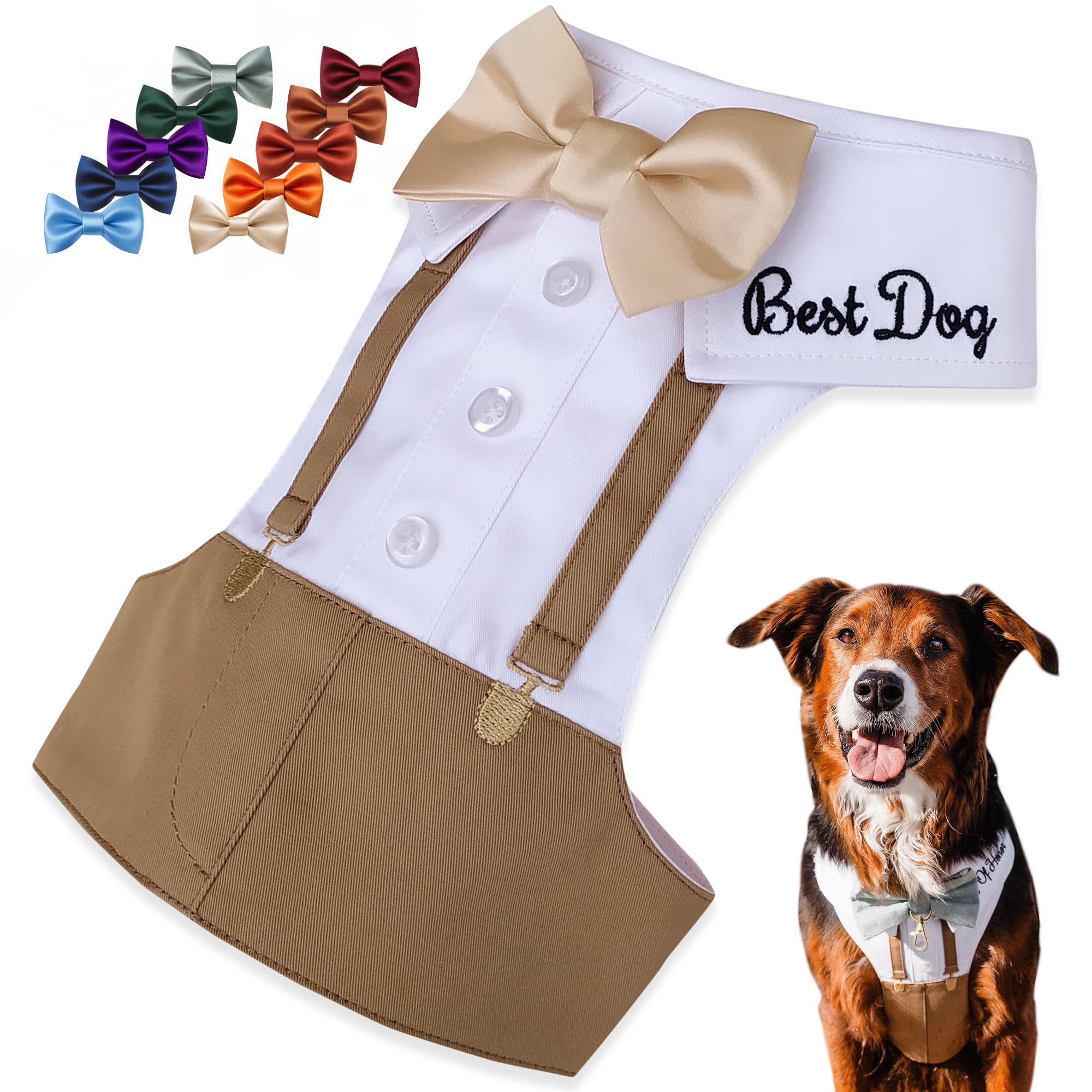 ACORD EU Tuxedo Harness with Bow Tie