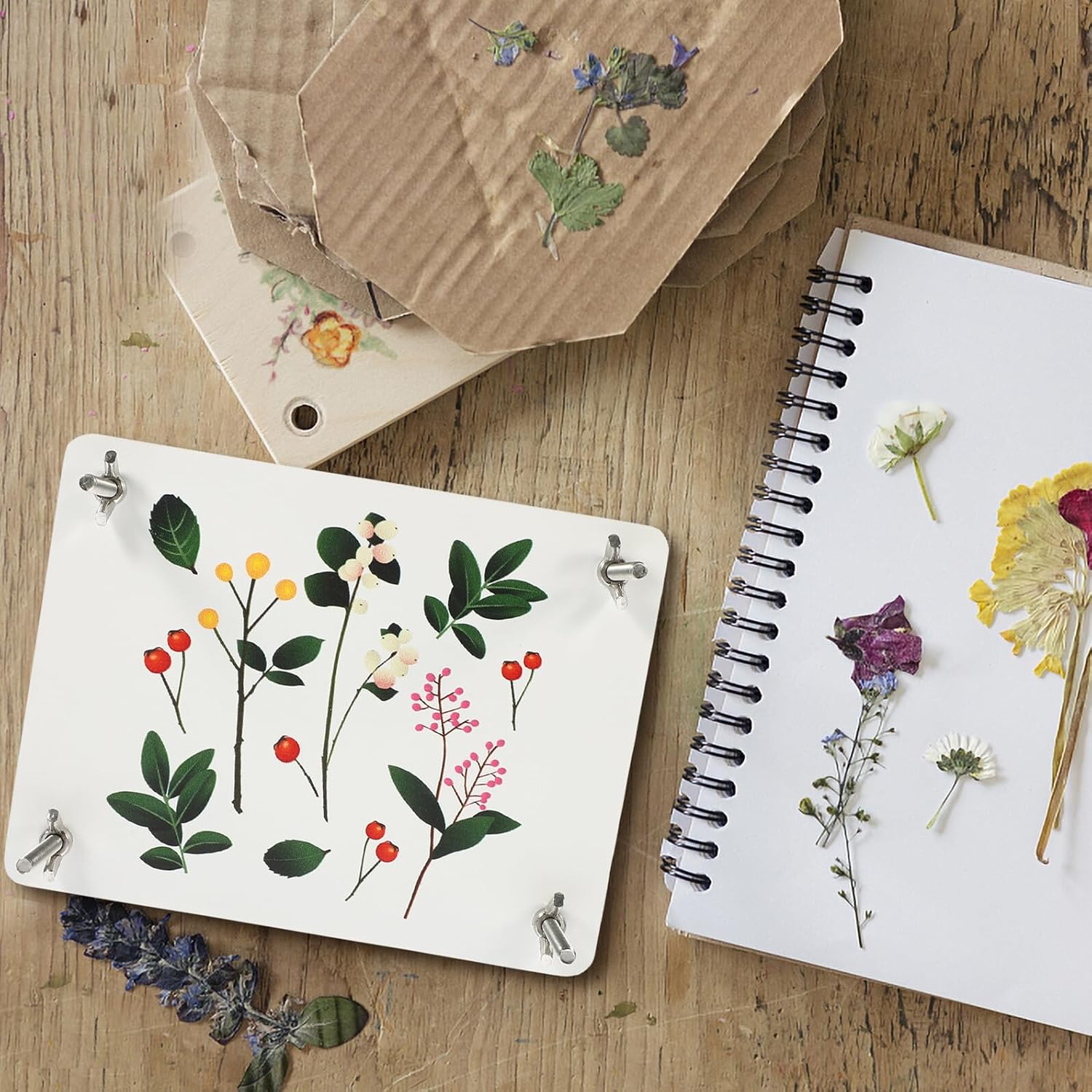 Toyvian Flower Press Kit for Adults with Wooden Plates Small Size Specimen Pressing Set for Dried Fruit and Plant Flowers DIY Craft Tool and Leaf Preservation